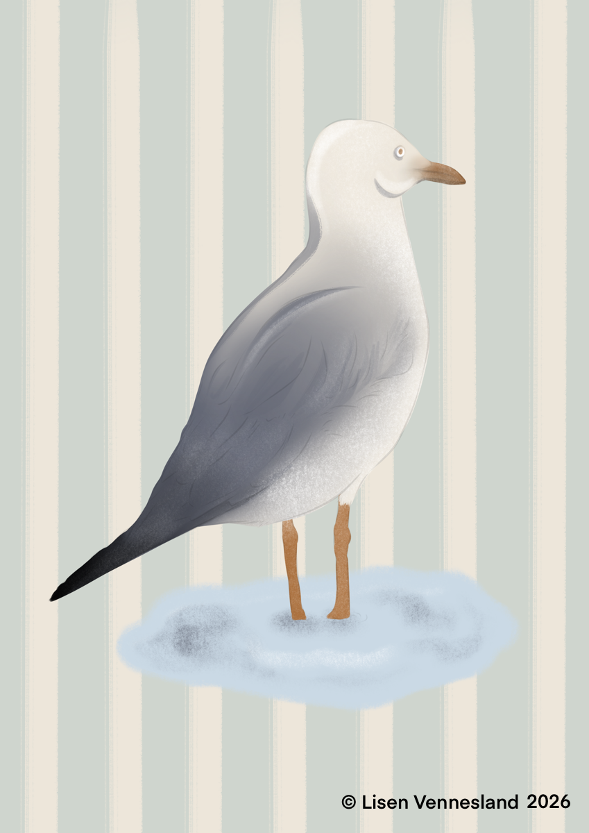Seagull 1 (1).png