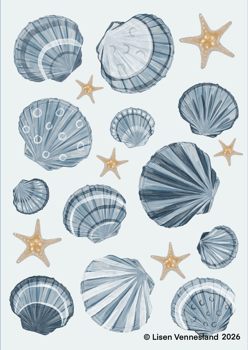 Randomized shells (1).png