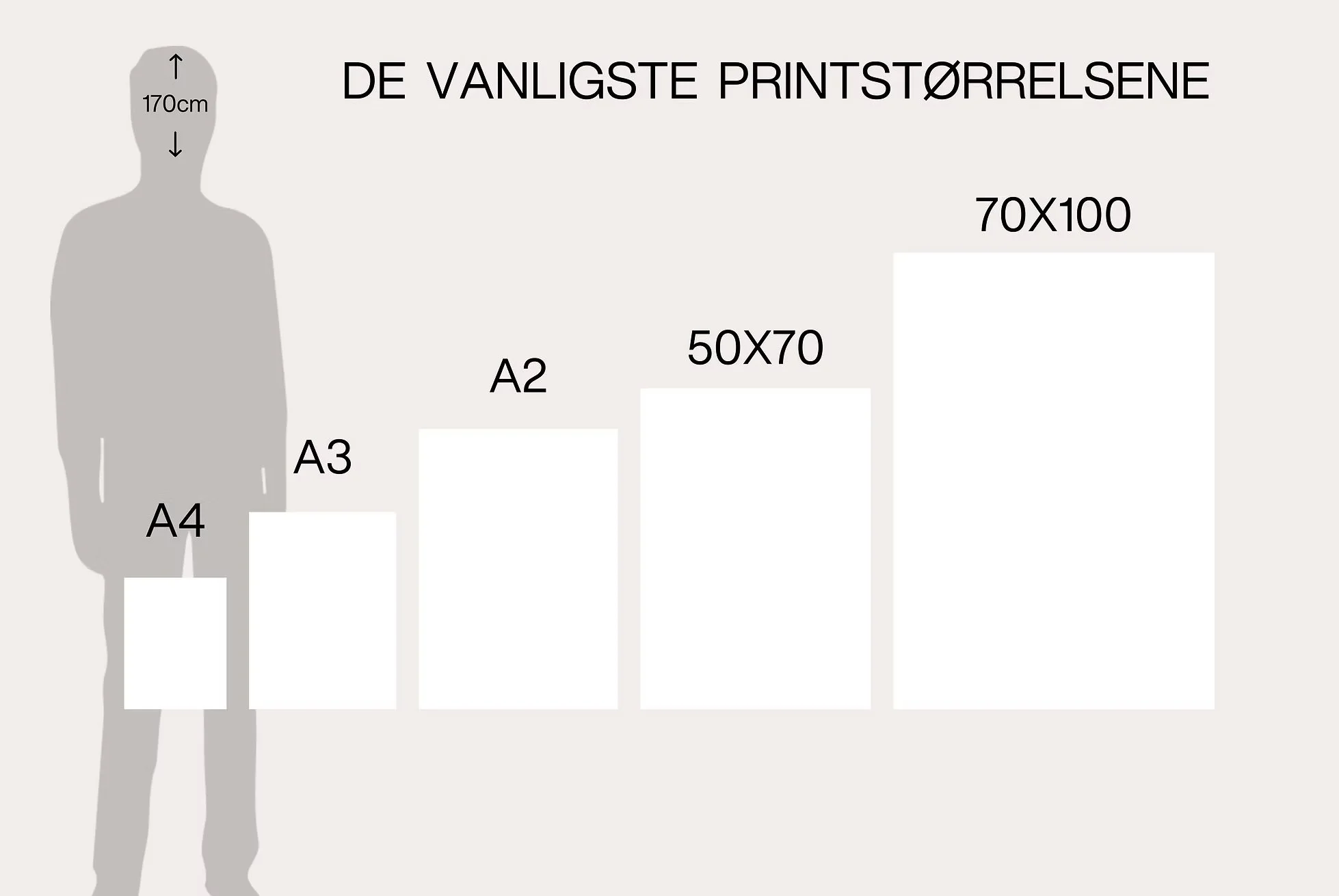 A chart showing the most common print sizes, with a silhouette of a person for scale. The sizes listed are A4, A3, A2, 50x70 cm, and 70x100 cm.