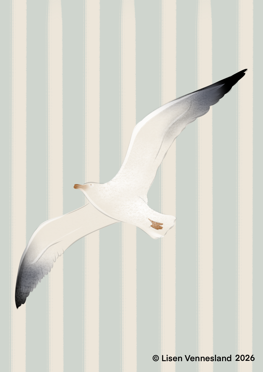 Seagul 2 (2).png