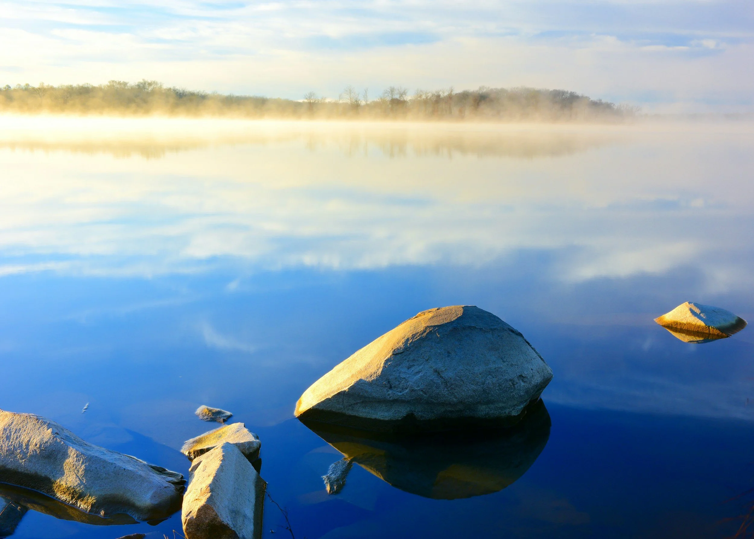 Dependence &amp; Addiction