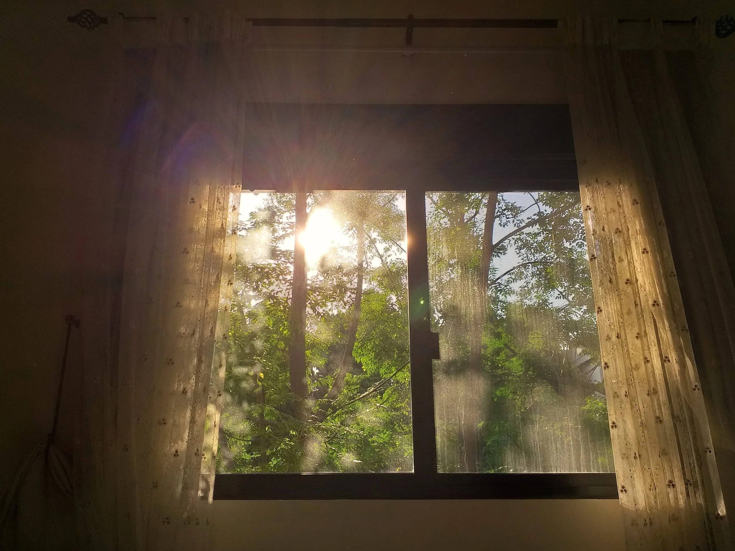 Circadian Rhythm and Sleep: How Your Body's Internal Clock Works
