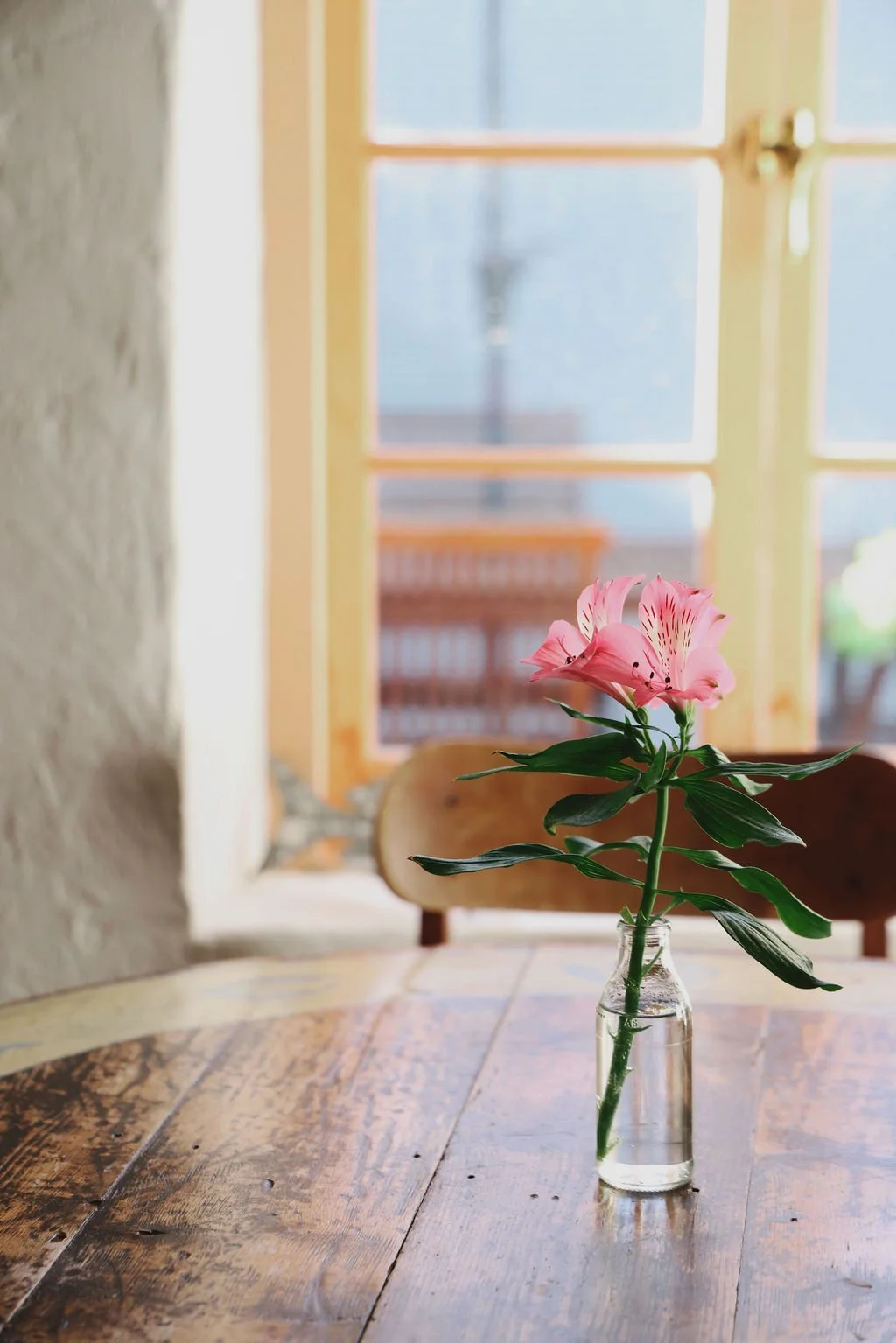 Robe Beach Accommodation - The Snug