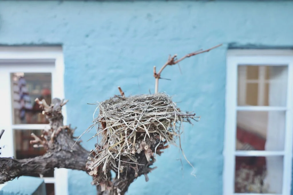 Robe Beach Accommodation - The Snug