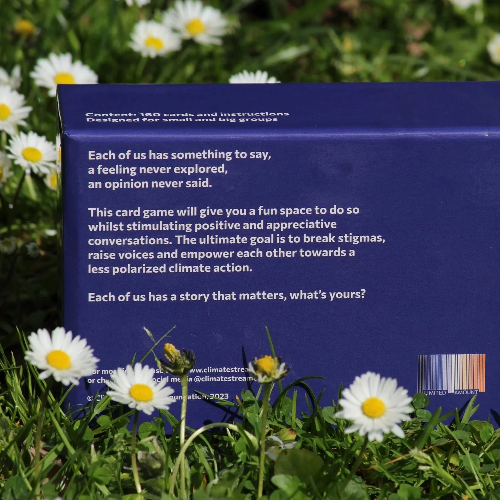 A blue card placed among daisies and green grass.