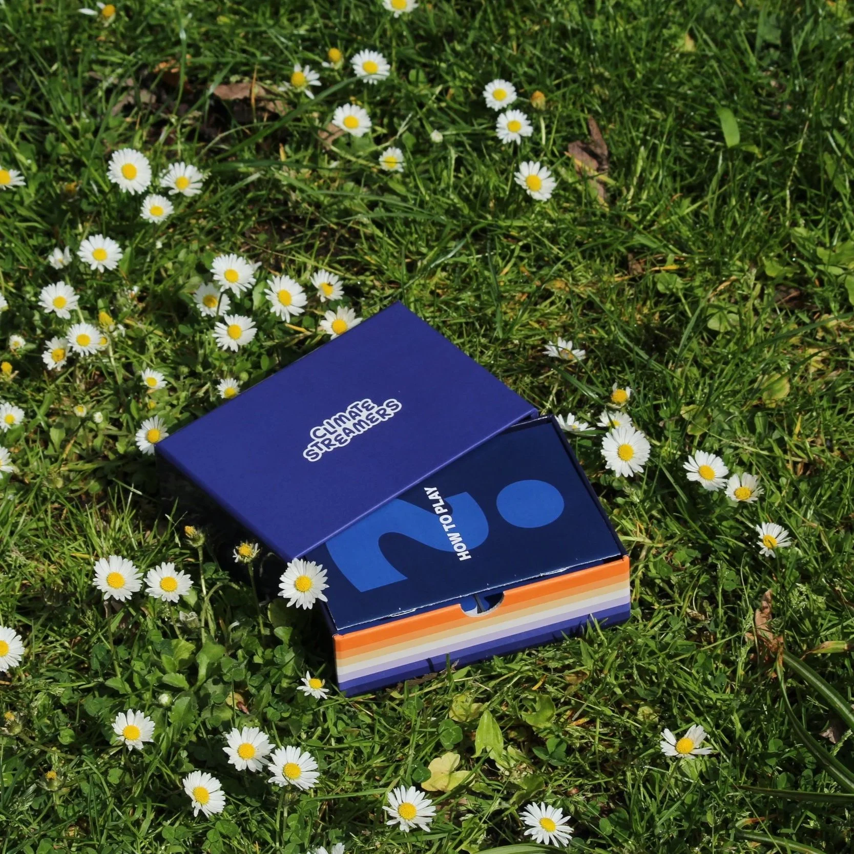 A closed box labeled 'HOW TO PLAY' lying on grass surrounded by small white daisies with yellow centers.