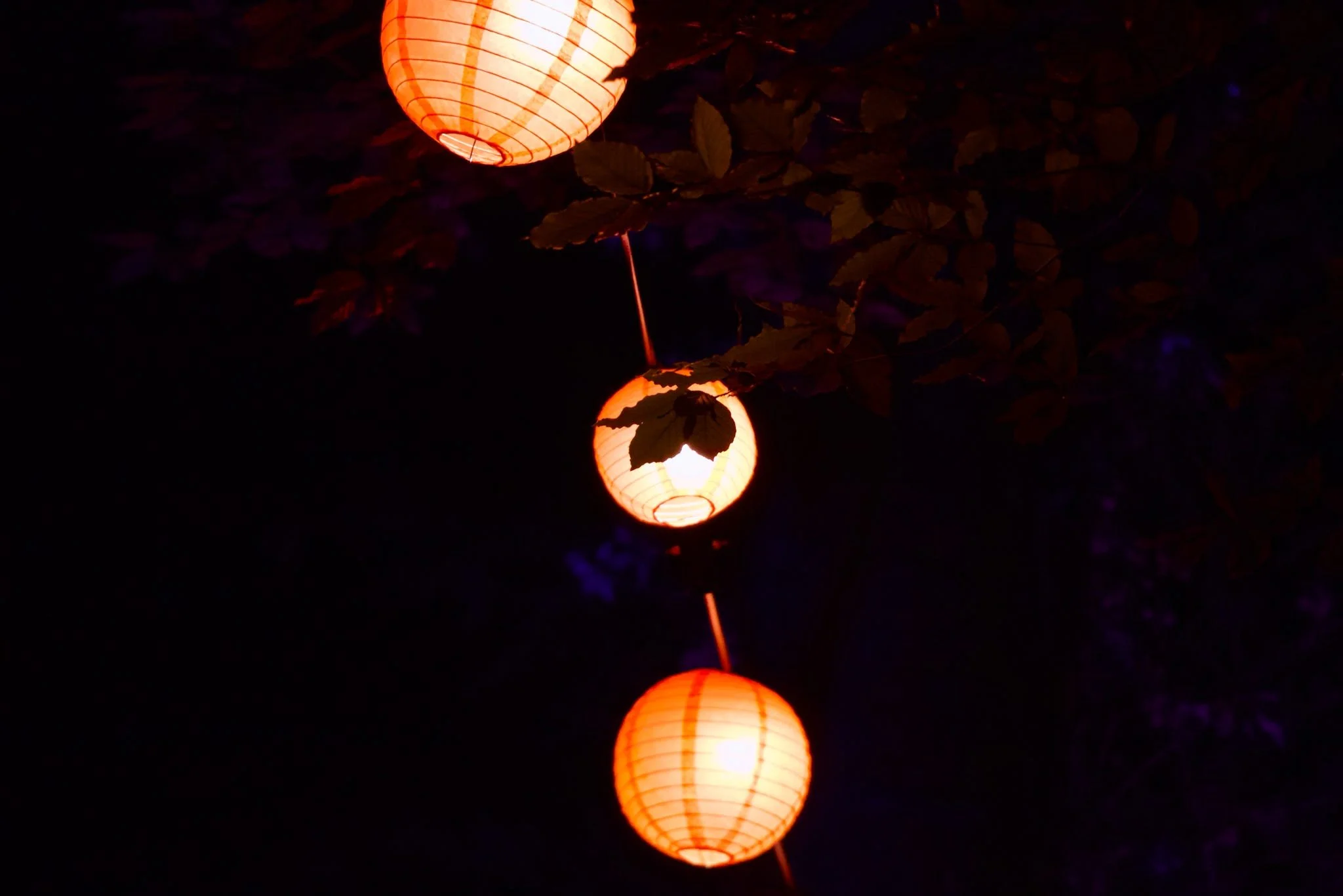 Orange paper lanterns hanging in the night sky with their reflections visible in a body of water below, surrounded by dark trees.