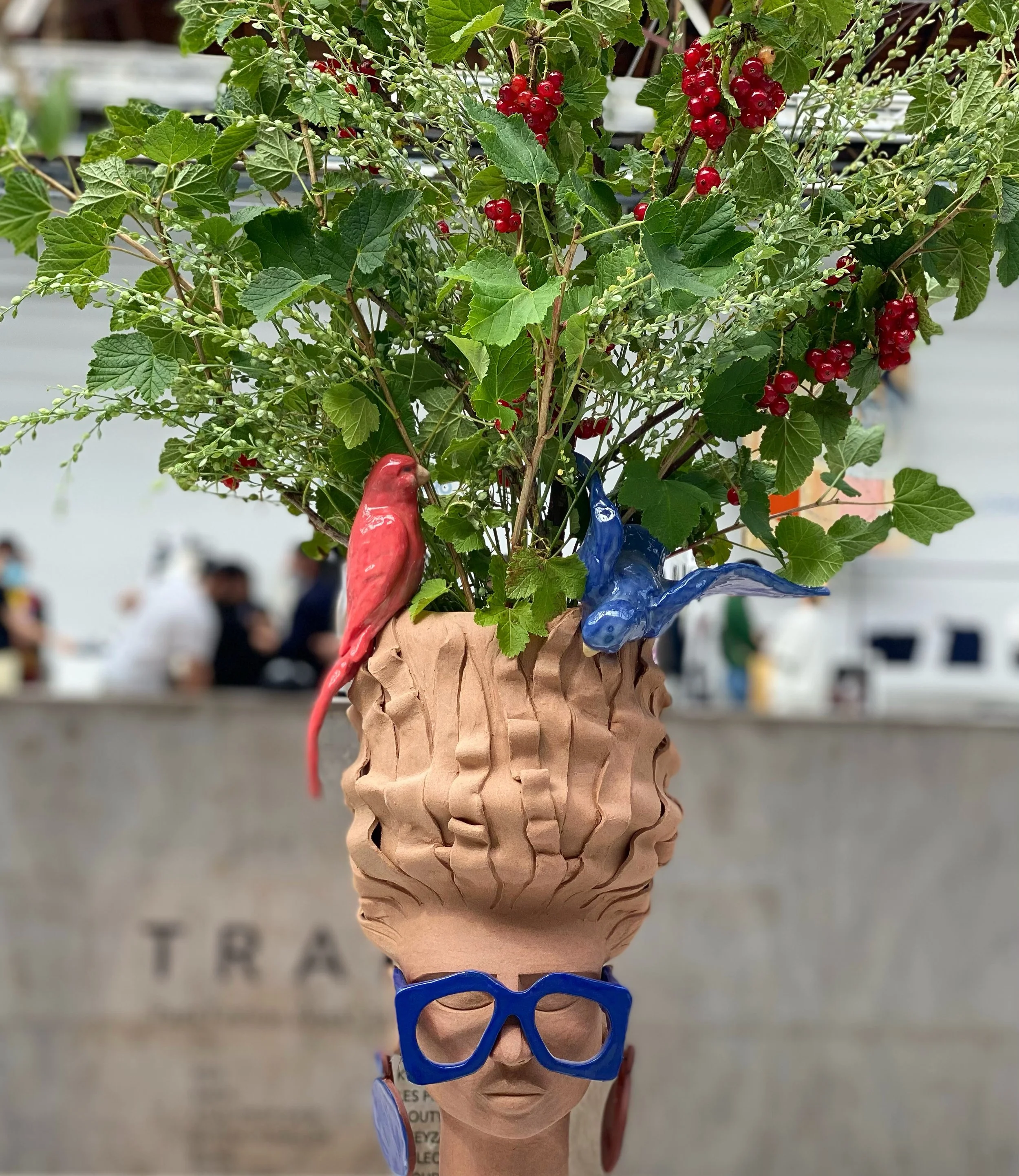 An artistic composition depicting a human face, the upper part of which consists of a plant with green leaves, clusters of red currants, and raffia. The person is wearing blue sunglasses.