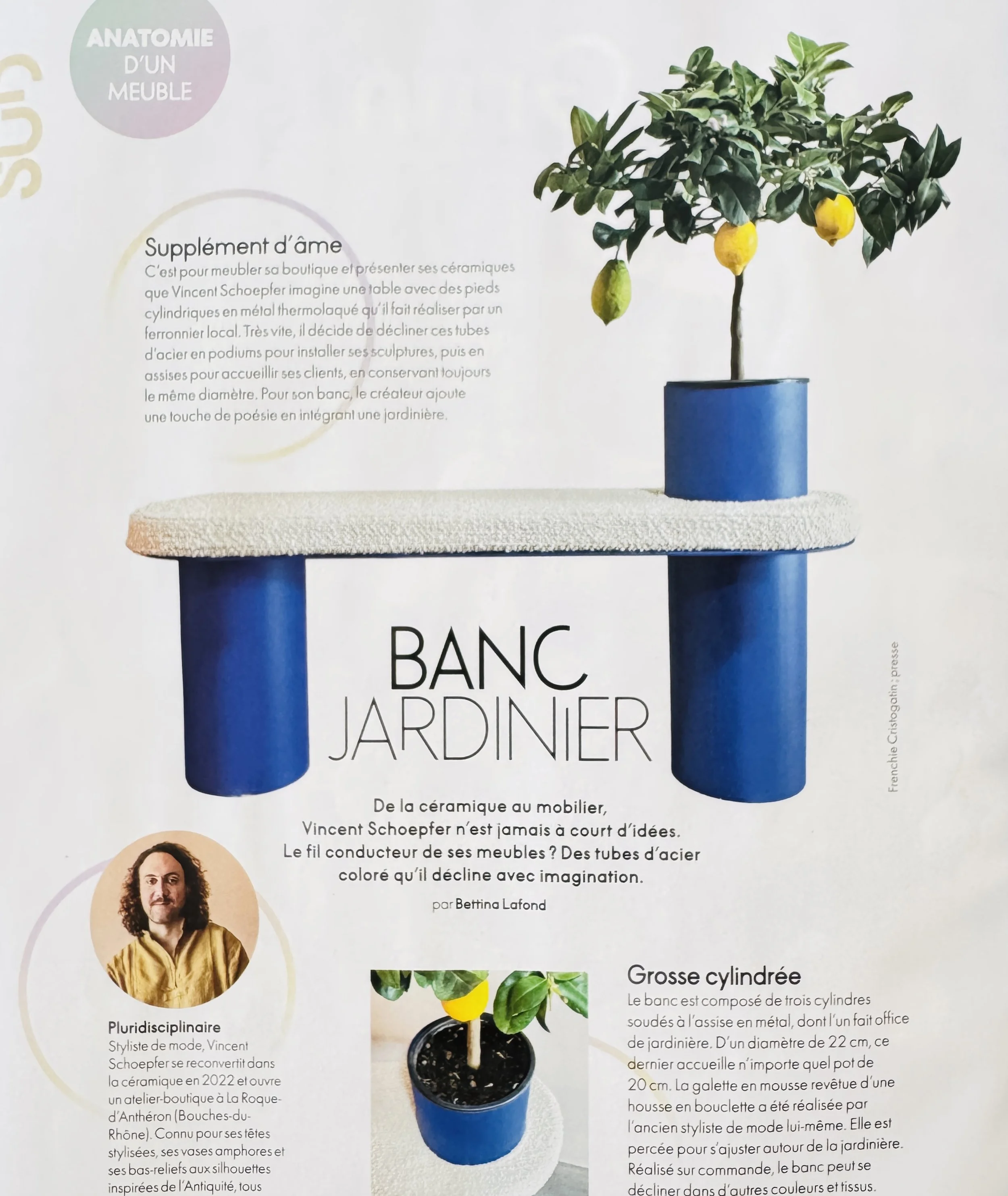 A poster depicting a piece of furniture resembling a bench or garden table, with a cylindrical shape made of blue-colored steel. The image also shows a potted plant, featuring a fruit tree—a lemon tree—with some lemons that are yellow and others that are still green.
