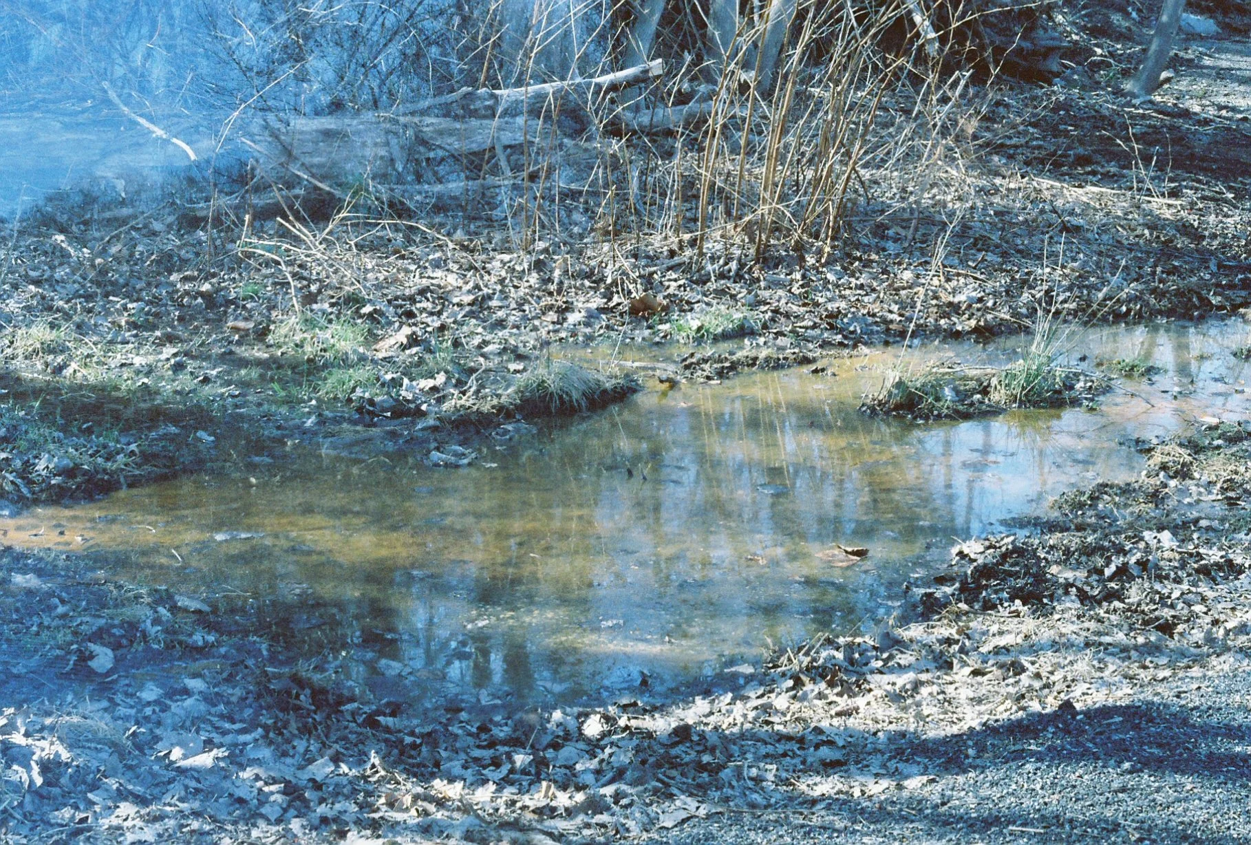 c113970_c113970-R1-E008.jpg