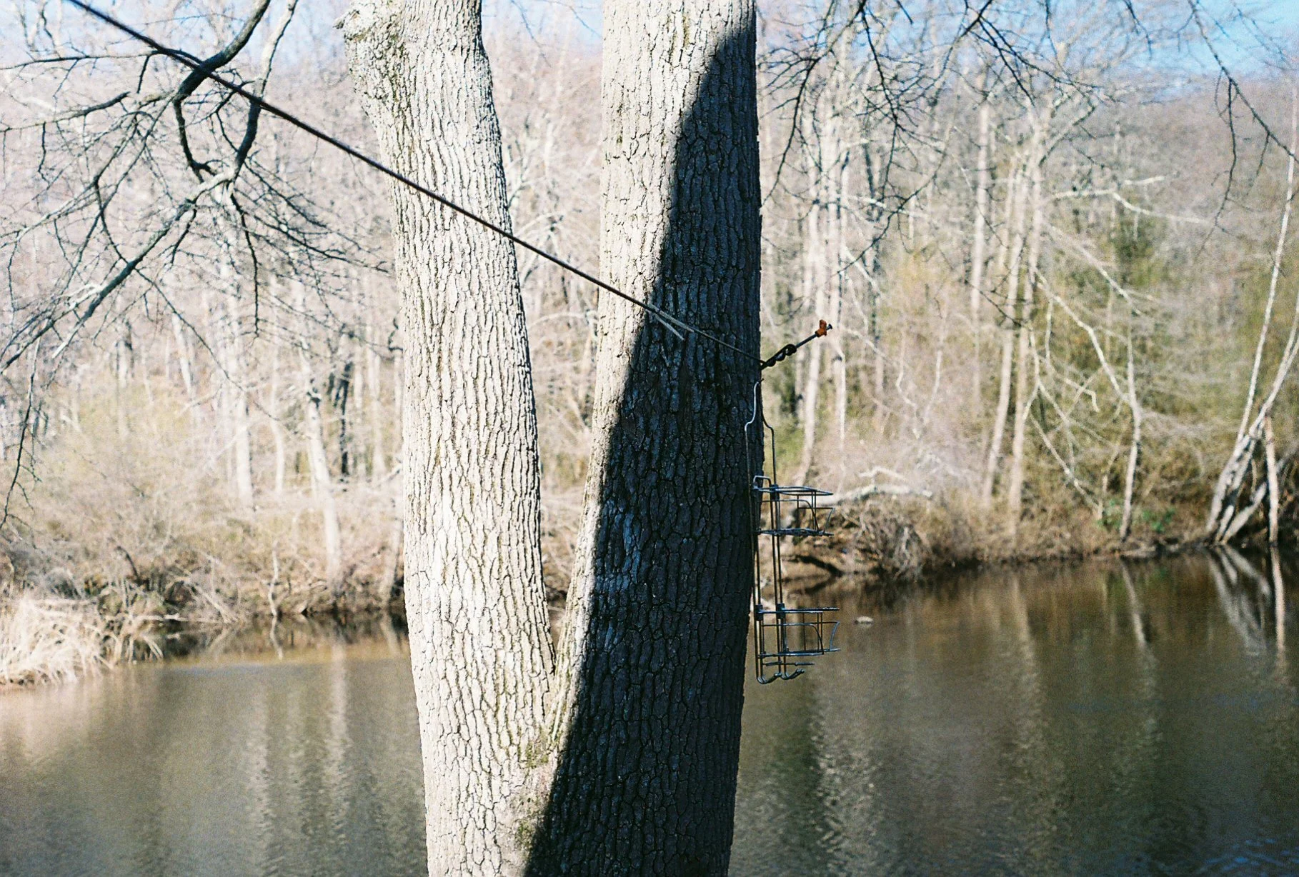 e113975_e113975-R1-022-9A.jpg