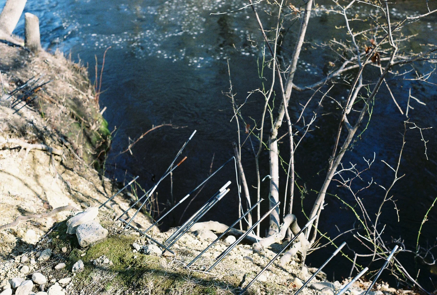 e113975_e113975-R1-020-8A.jpg