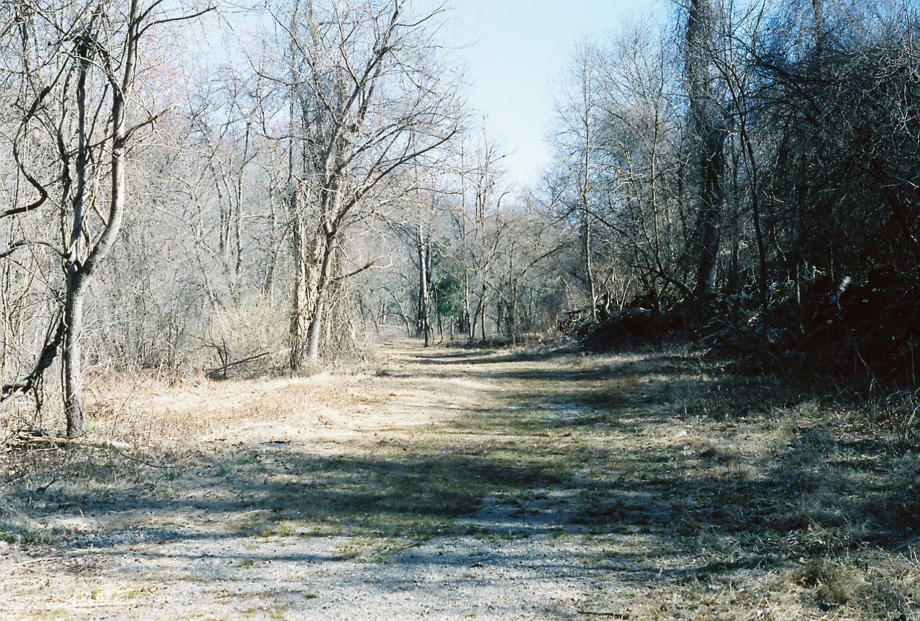 c113970_c113970-R1-E021.jpg