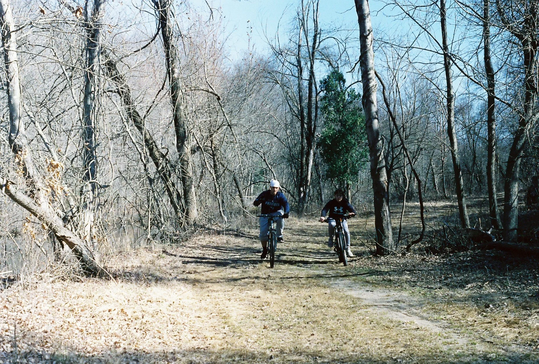 c113970_c113970-R1-E018.jpg