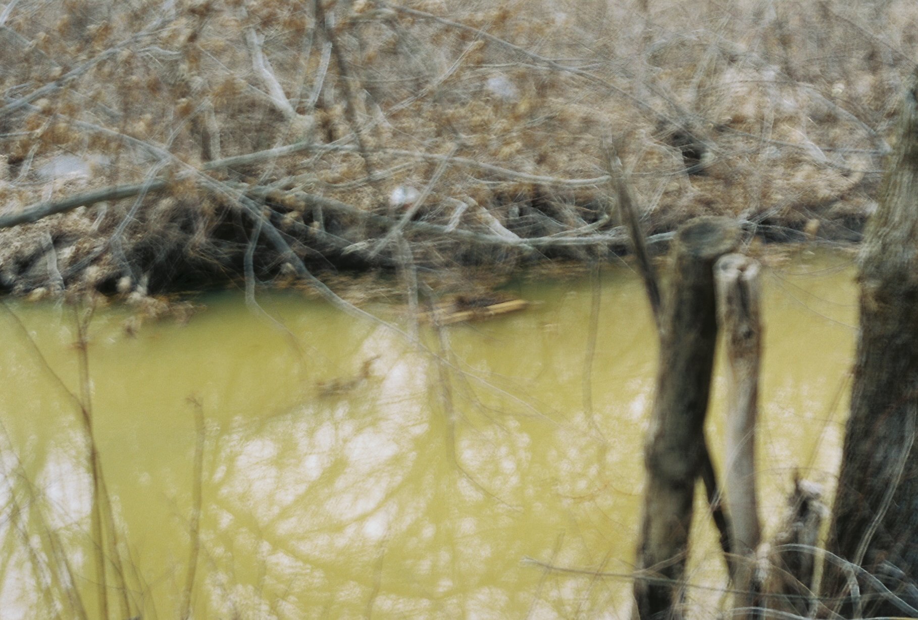 b113968_b113968-R1-E007.jpg