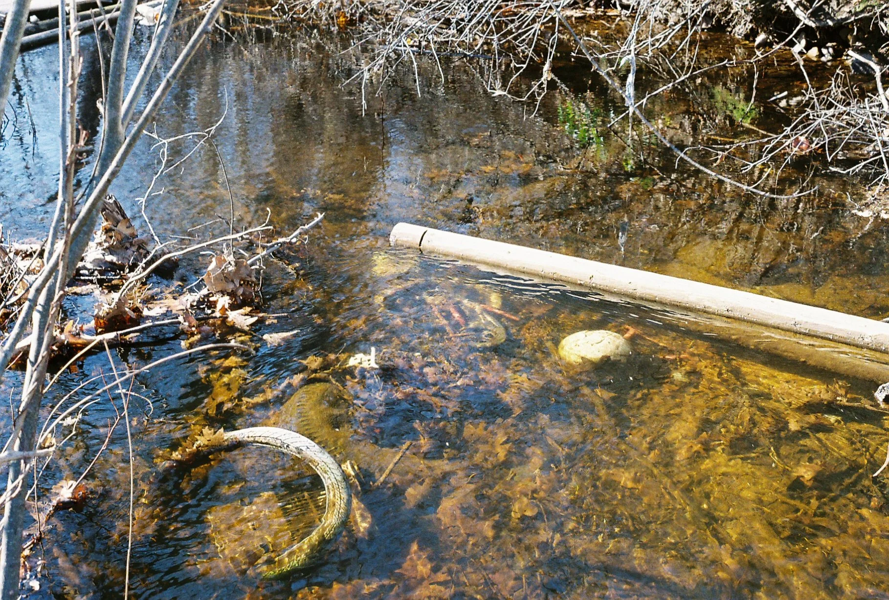 e113975_e113975-R1-039-18.jpg