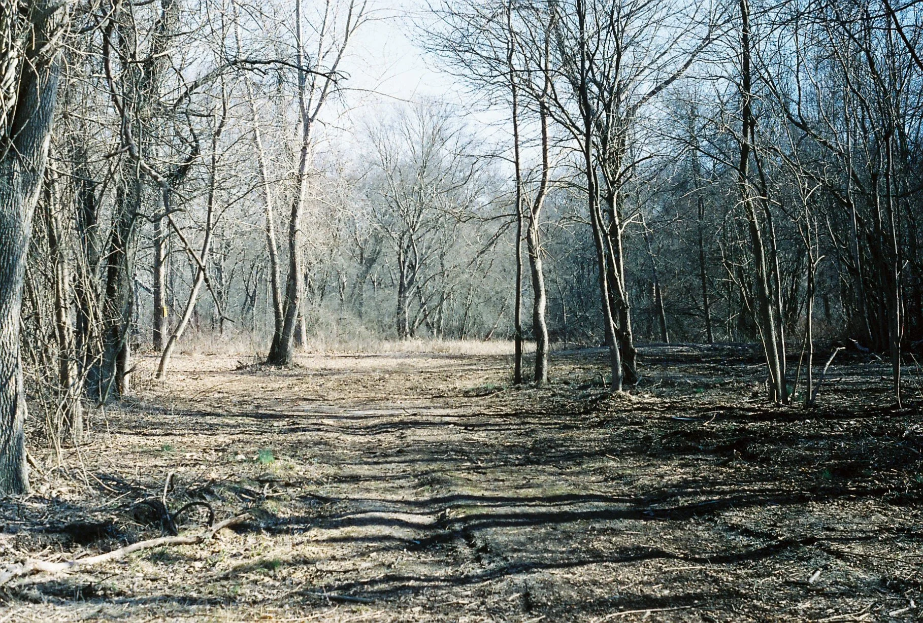 c113970_c113970-R1-E012.jpg