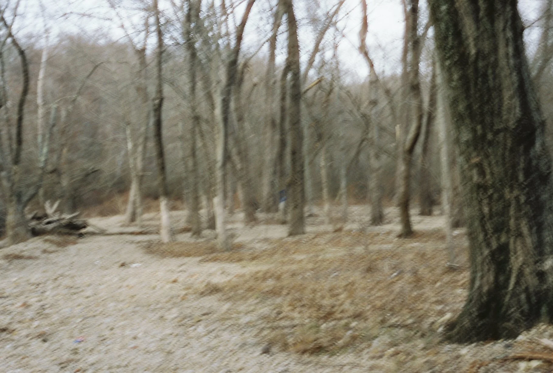 b113968_b113968-R1-E013.jpg