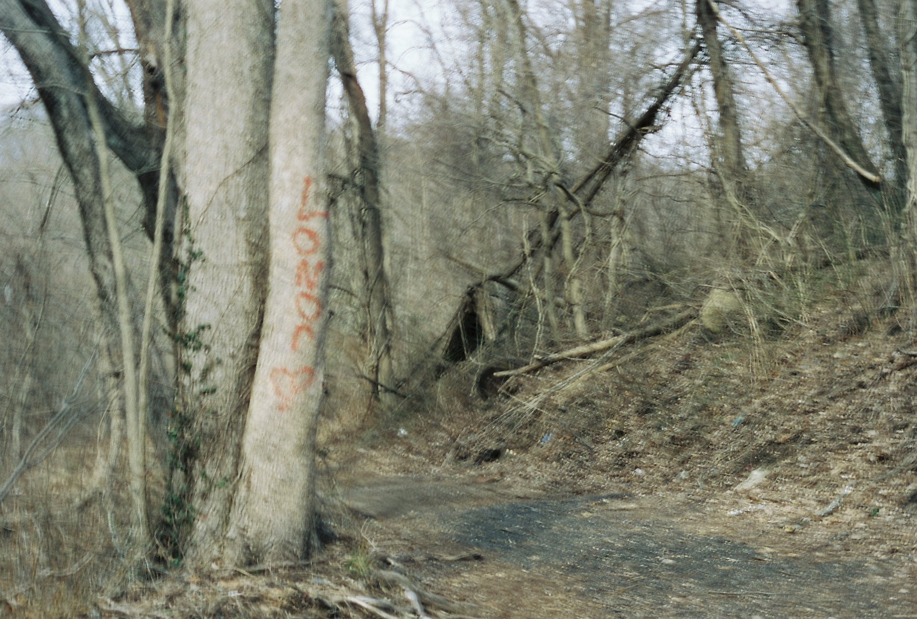 b113968_b113968-R1-E005.jpg