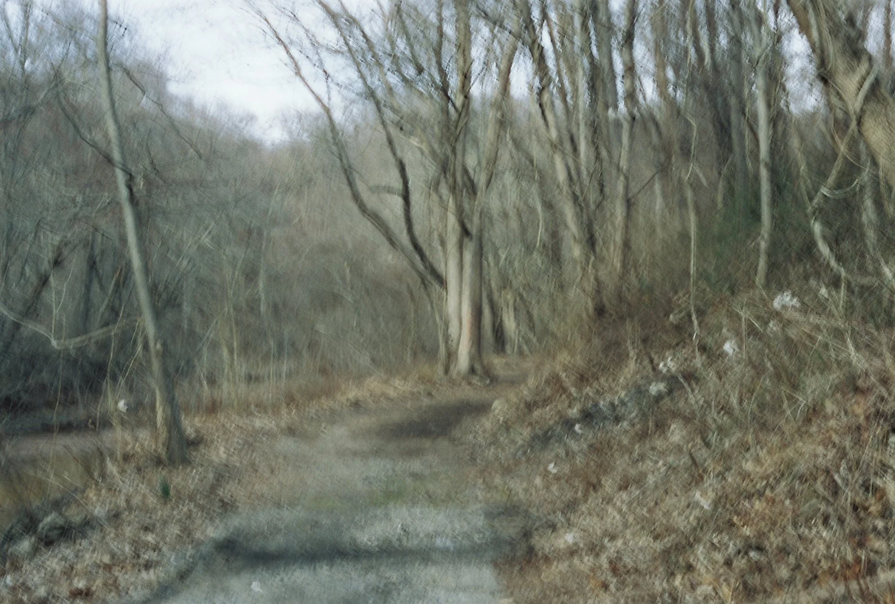 b113968_b113968-R1-E006.jpg