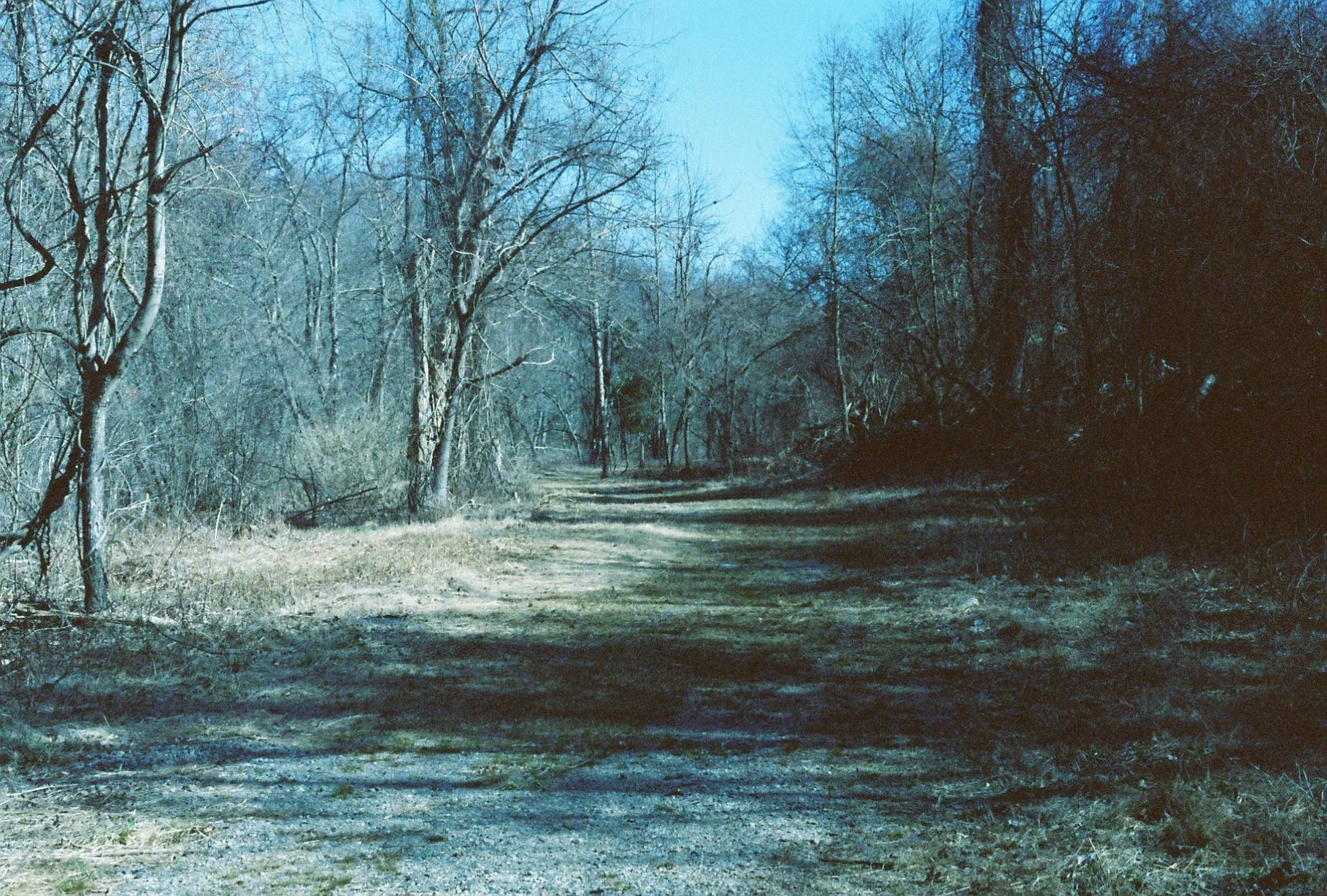 c113970_c113970-R1-E022.jpg