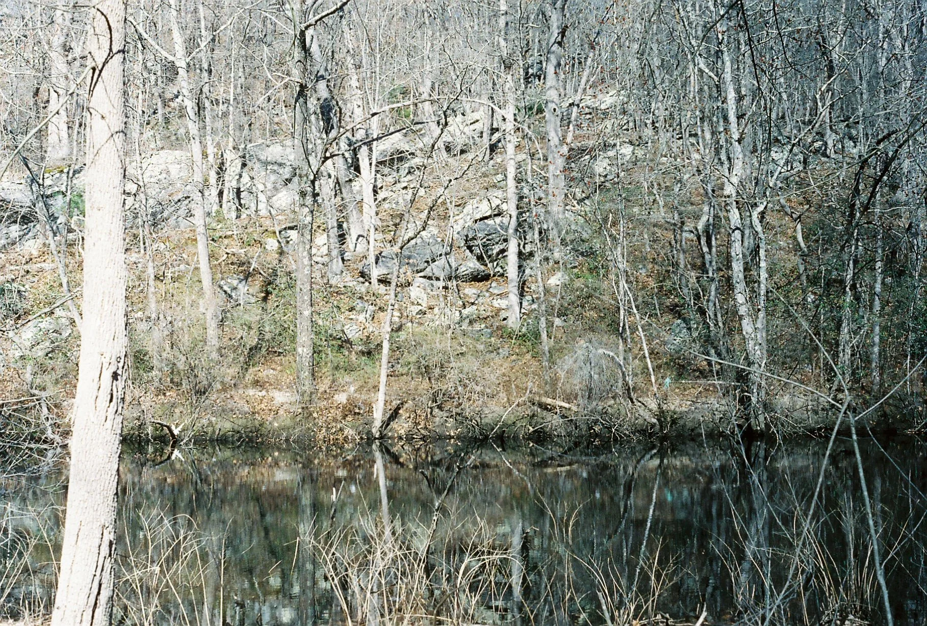 c113970_c113970-R1-E020.jpg