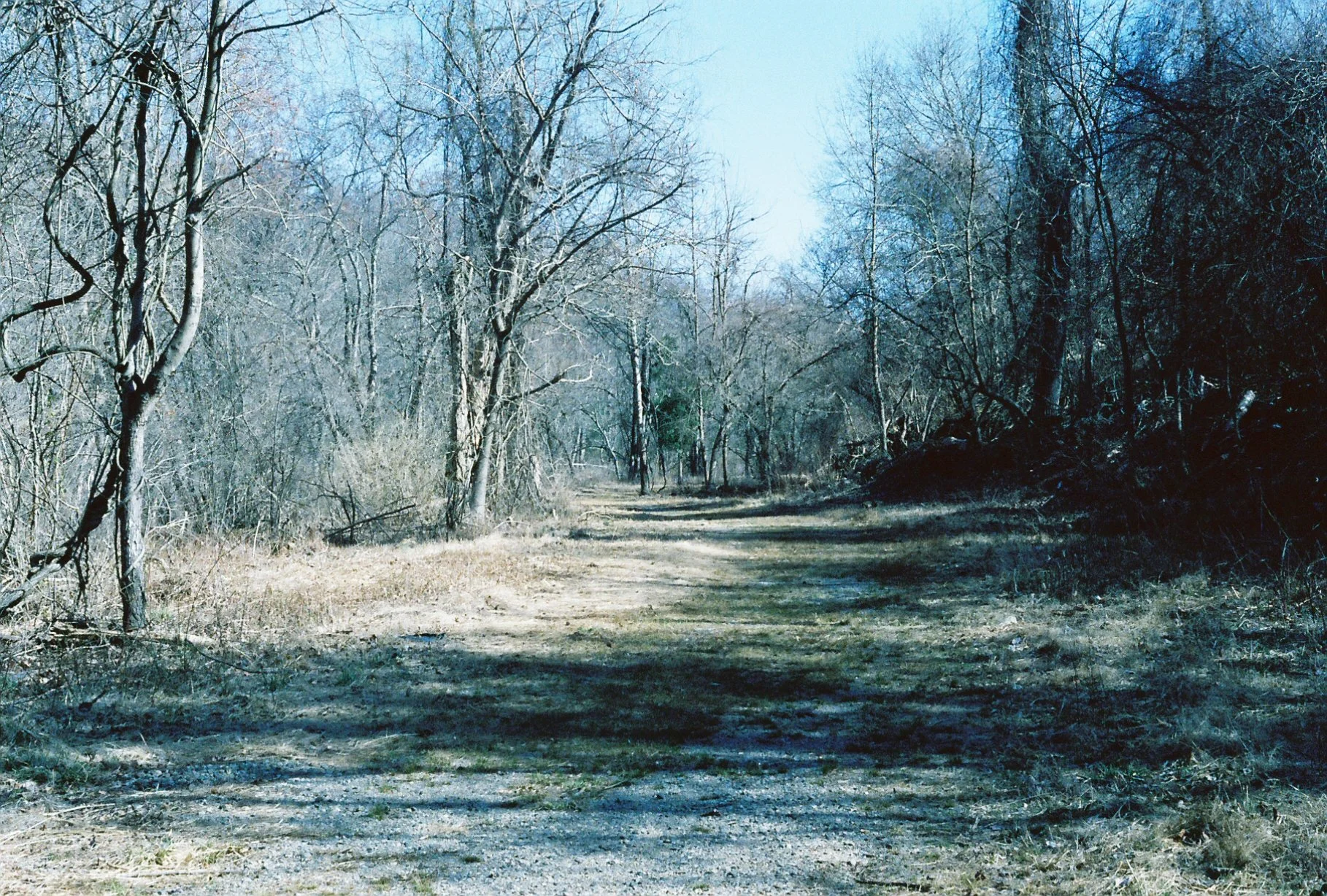c113970_c113970-R1-E023.jpg