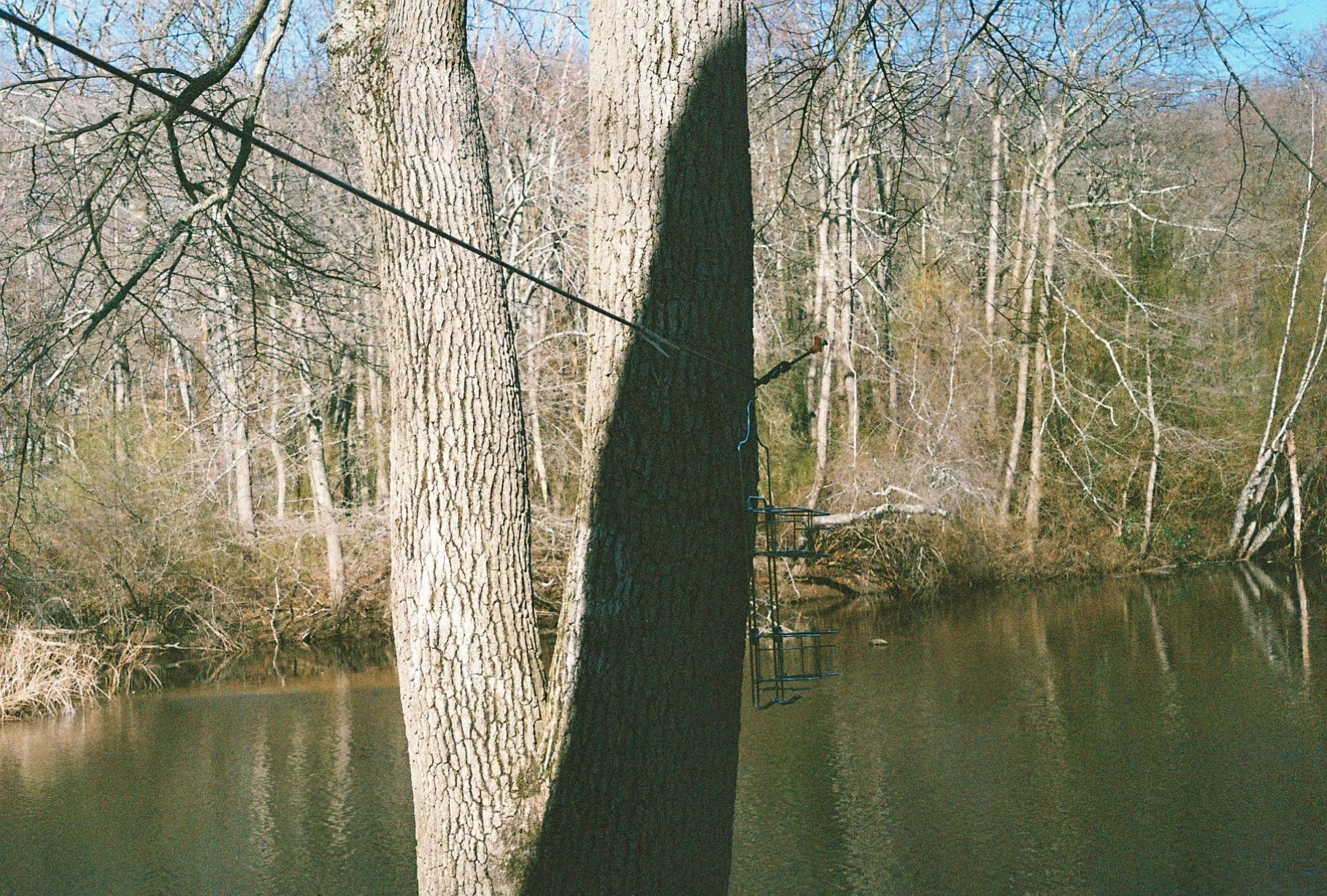 e113975_e113975-R1-024-10A.jpg