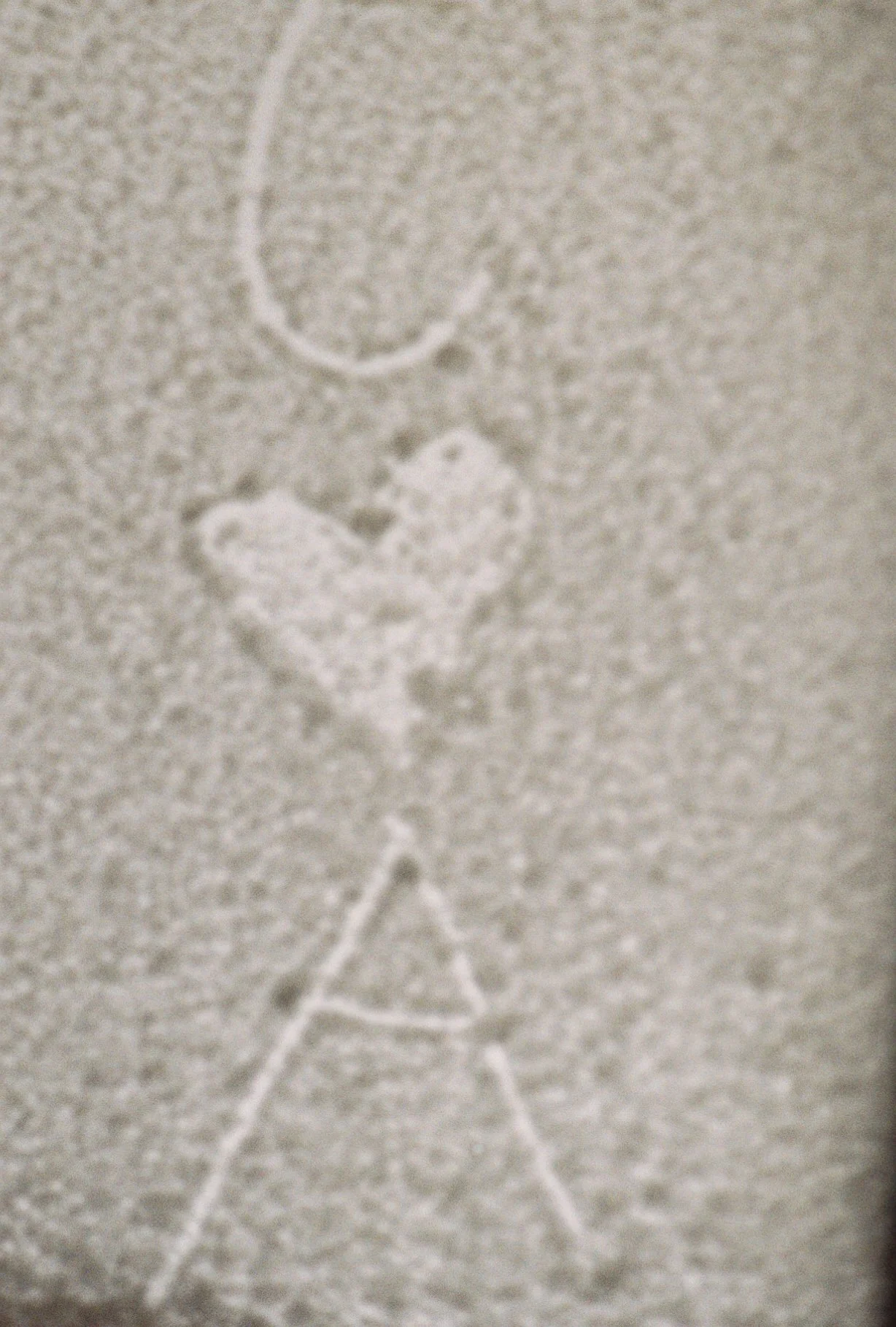 Cc59888_Cc59888-R1-063-30.jpg