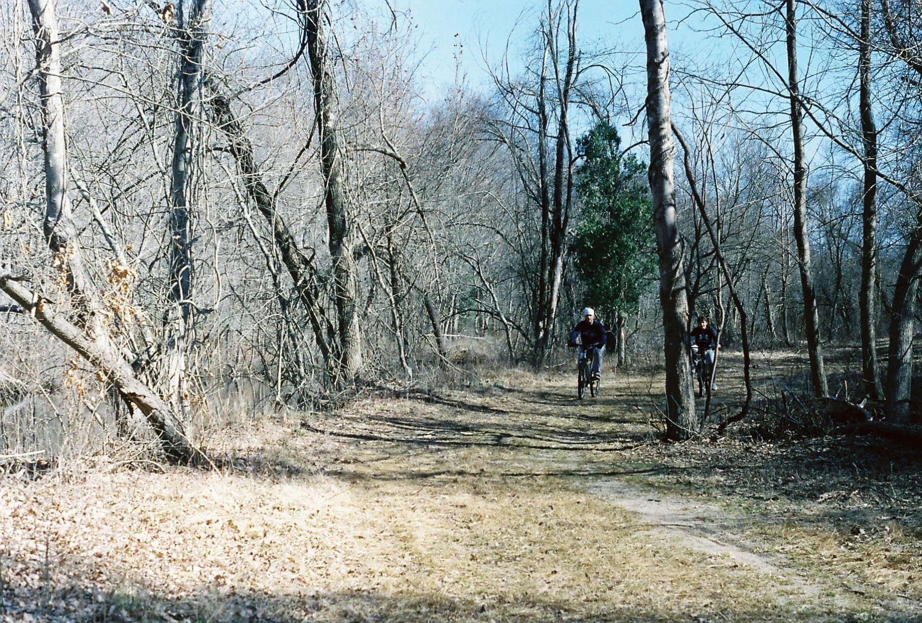 c113970_c113970-R1-E019.jpg