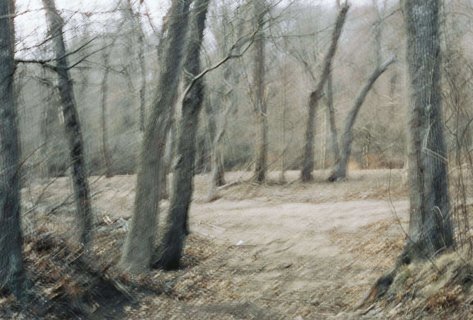 b113968_b113968-R1-E010.jpg