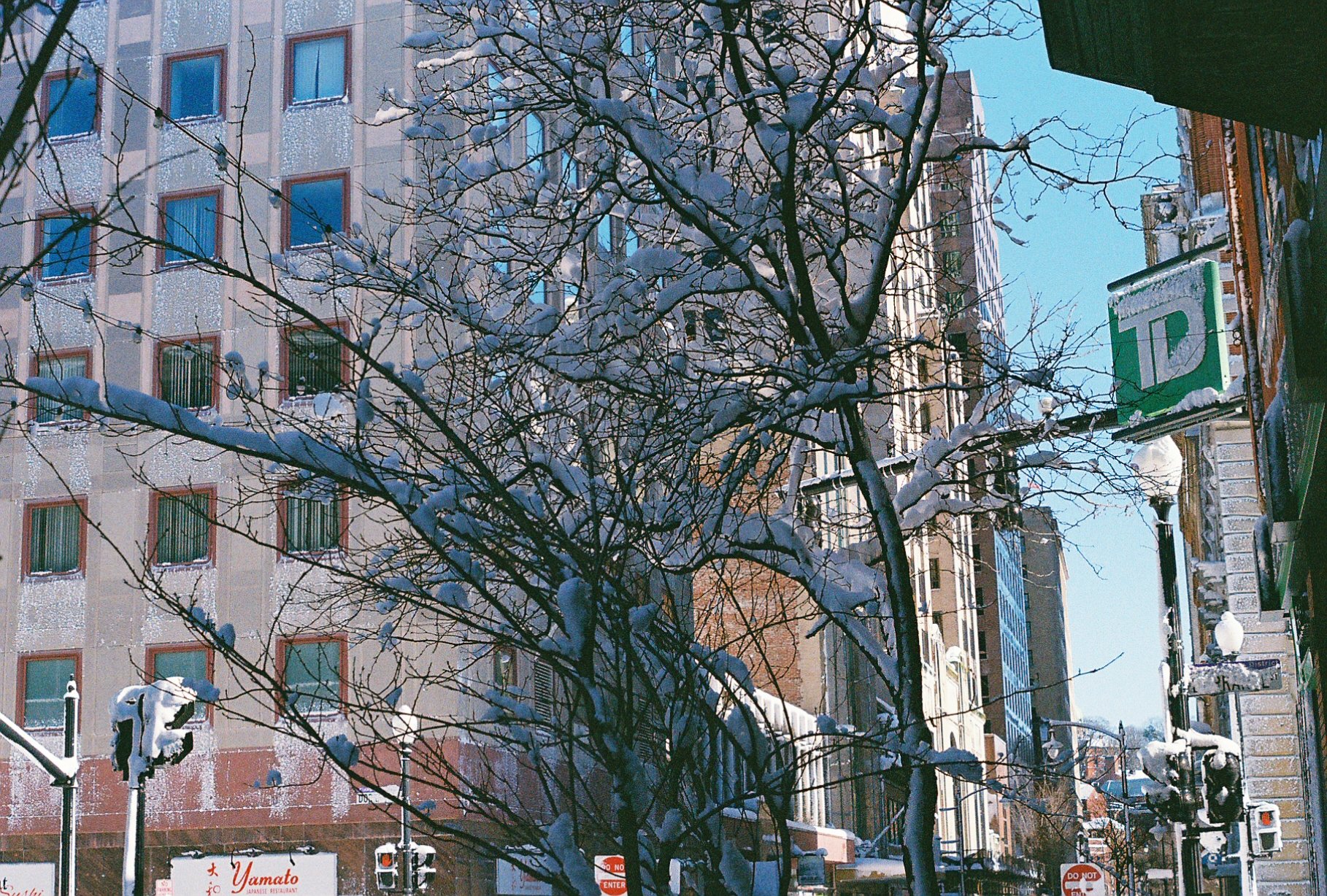 Aa59887_Aa59887-R1-010-3A.jpg
