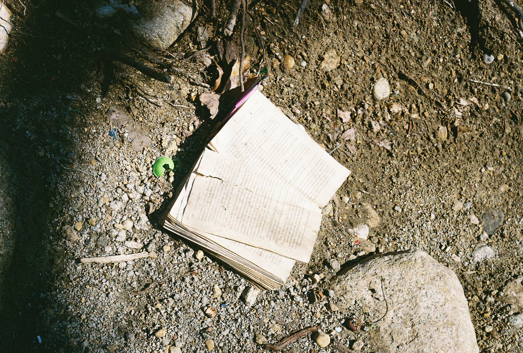 e113975_e113975-R1-037-17.jpg