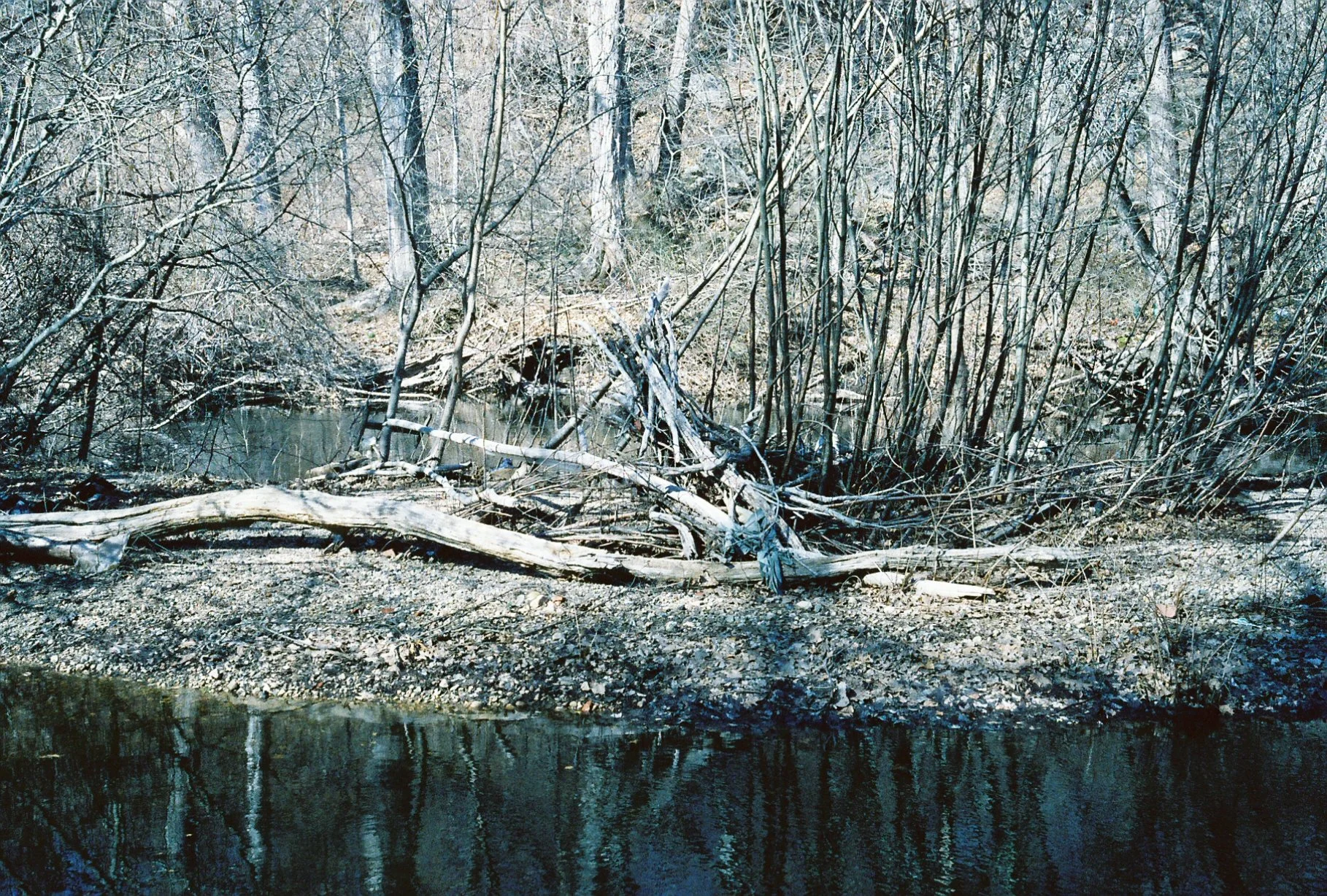 c113970_c113970-R1-E024.jpg