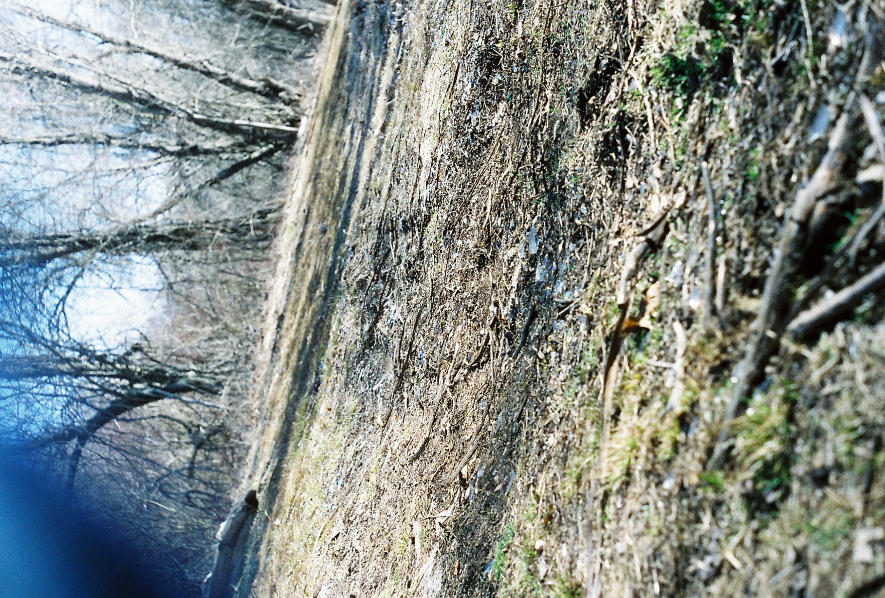 c113970_c113970-R1-E016.jpg