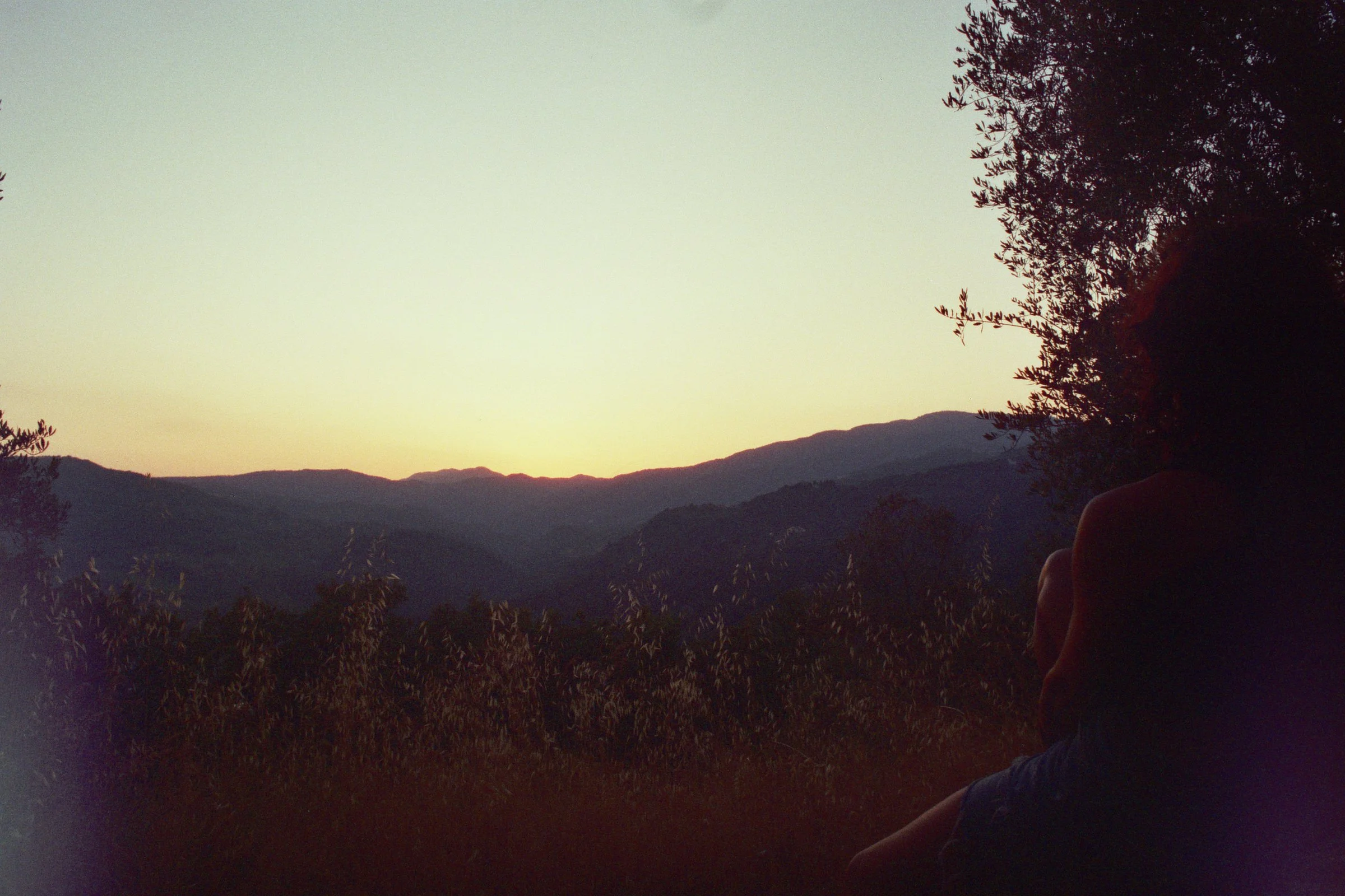 A person sitting outdoors at sunset with mountains in the background, trees framing the scene, and the sky illuminated with a soft yellow hue.