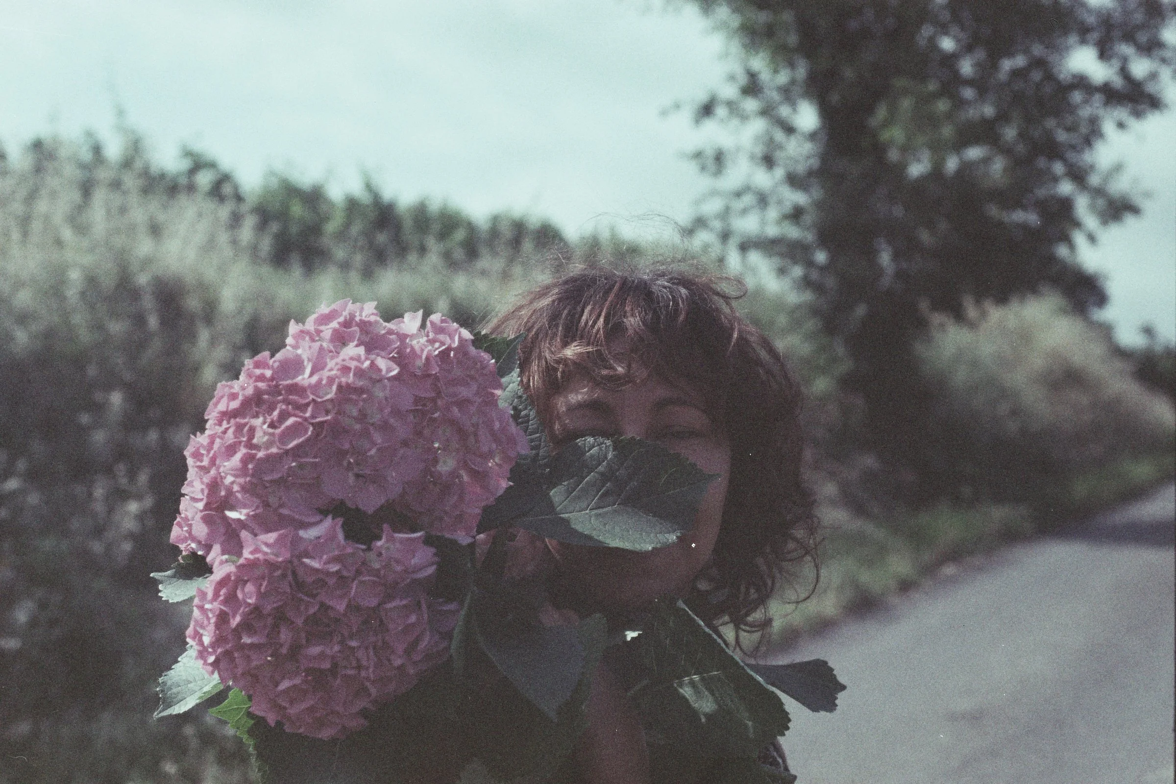 A person with curly hair holding a large pink hydrangea flower in front of their face outdoors with trees and a cloudy sky in the background.