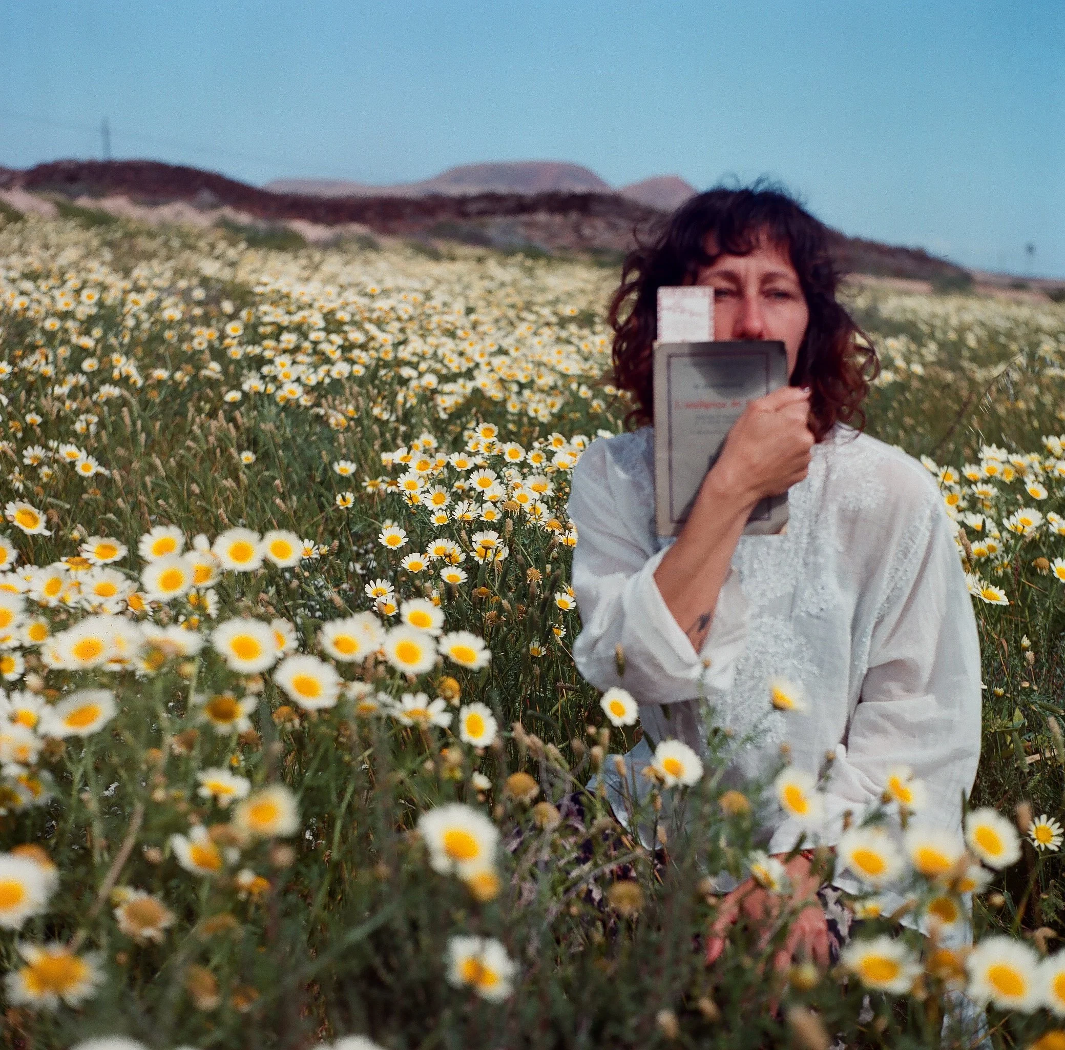 A woman sitting in a field of daisies holding a book or journal close to her face with mountains in the background.