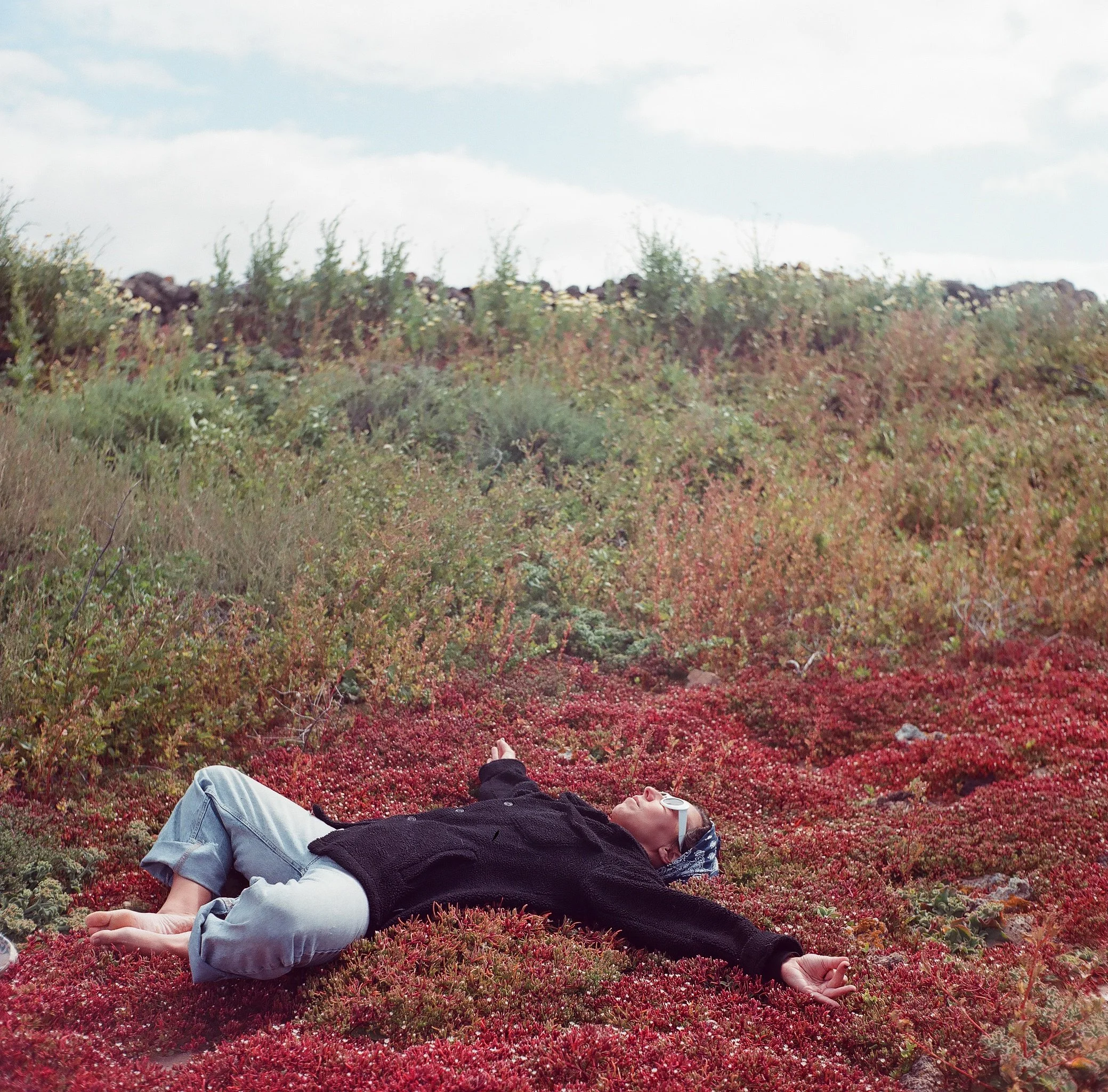 Person lying peacefully on a colorful, lush field of red and green plants, wearing sunglasses, a black coat, and light-colored pants, with a bright sky in the background.
