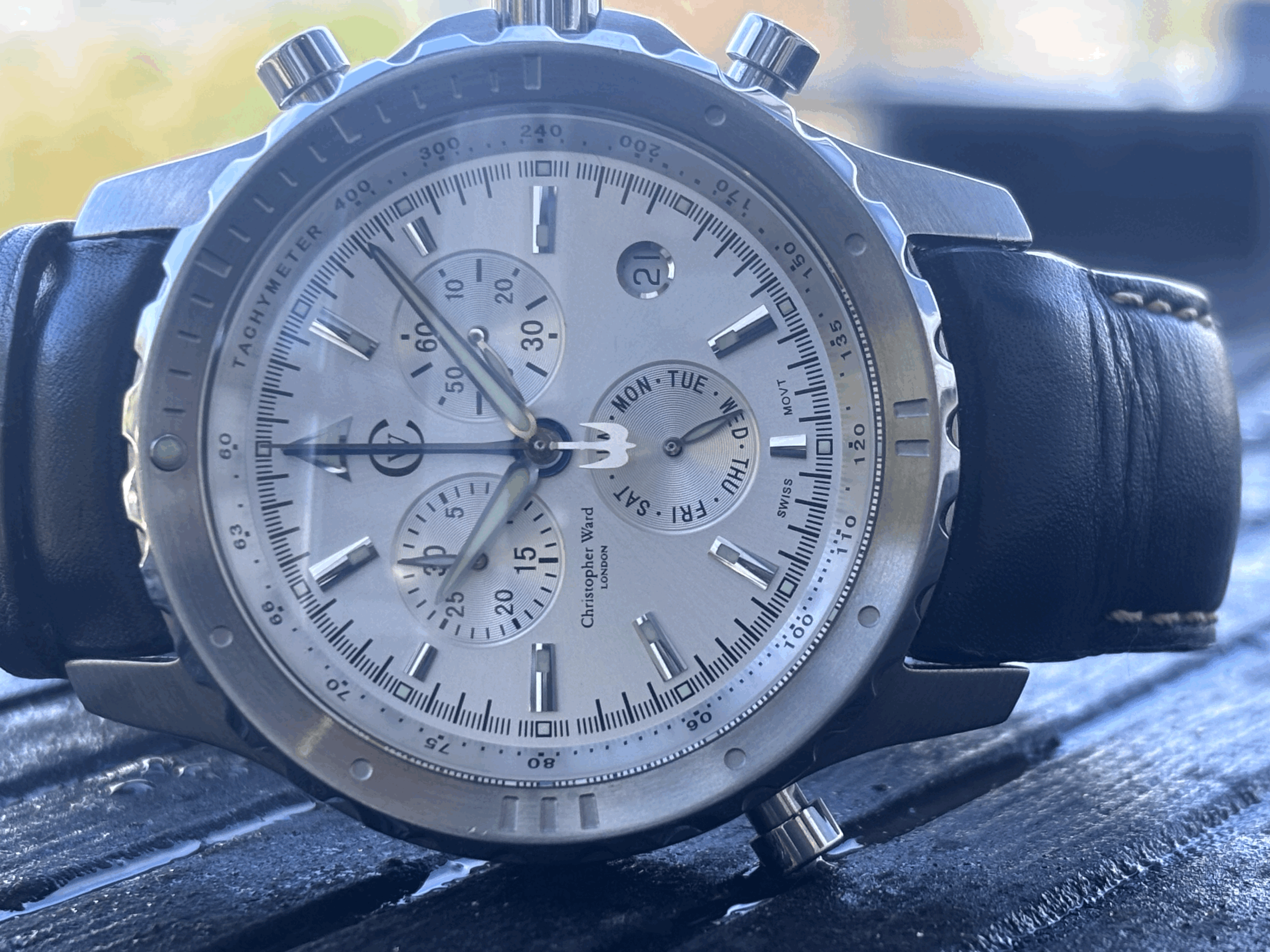 IMG_50660ICgFl.gif