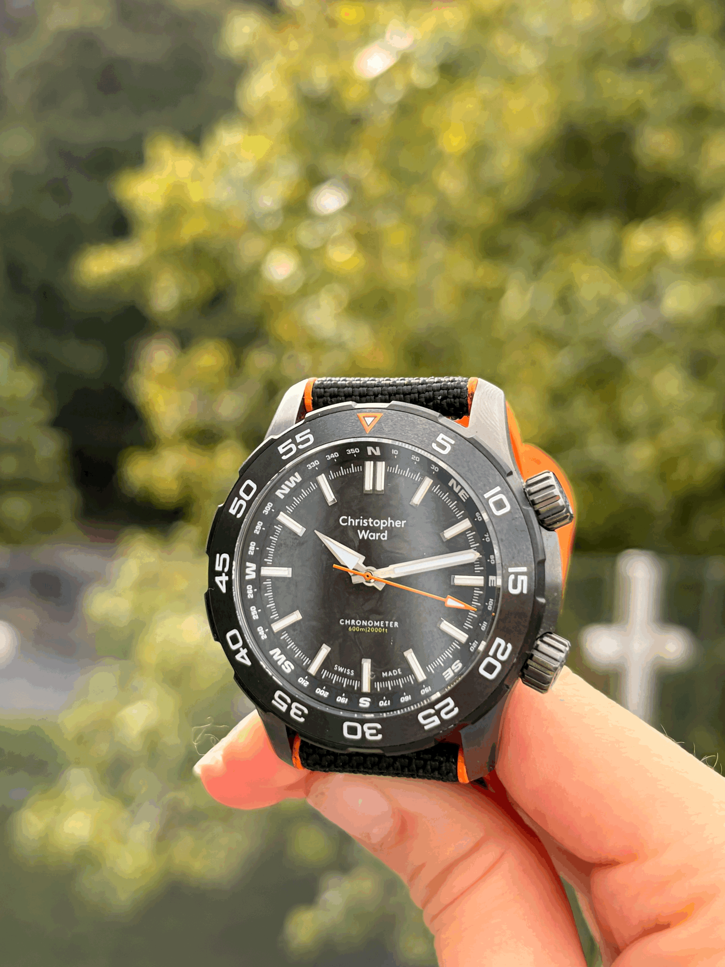IMG_0888 2EUgFv2.gif