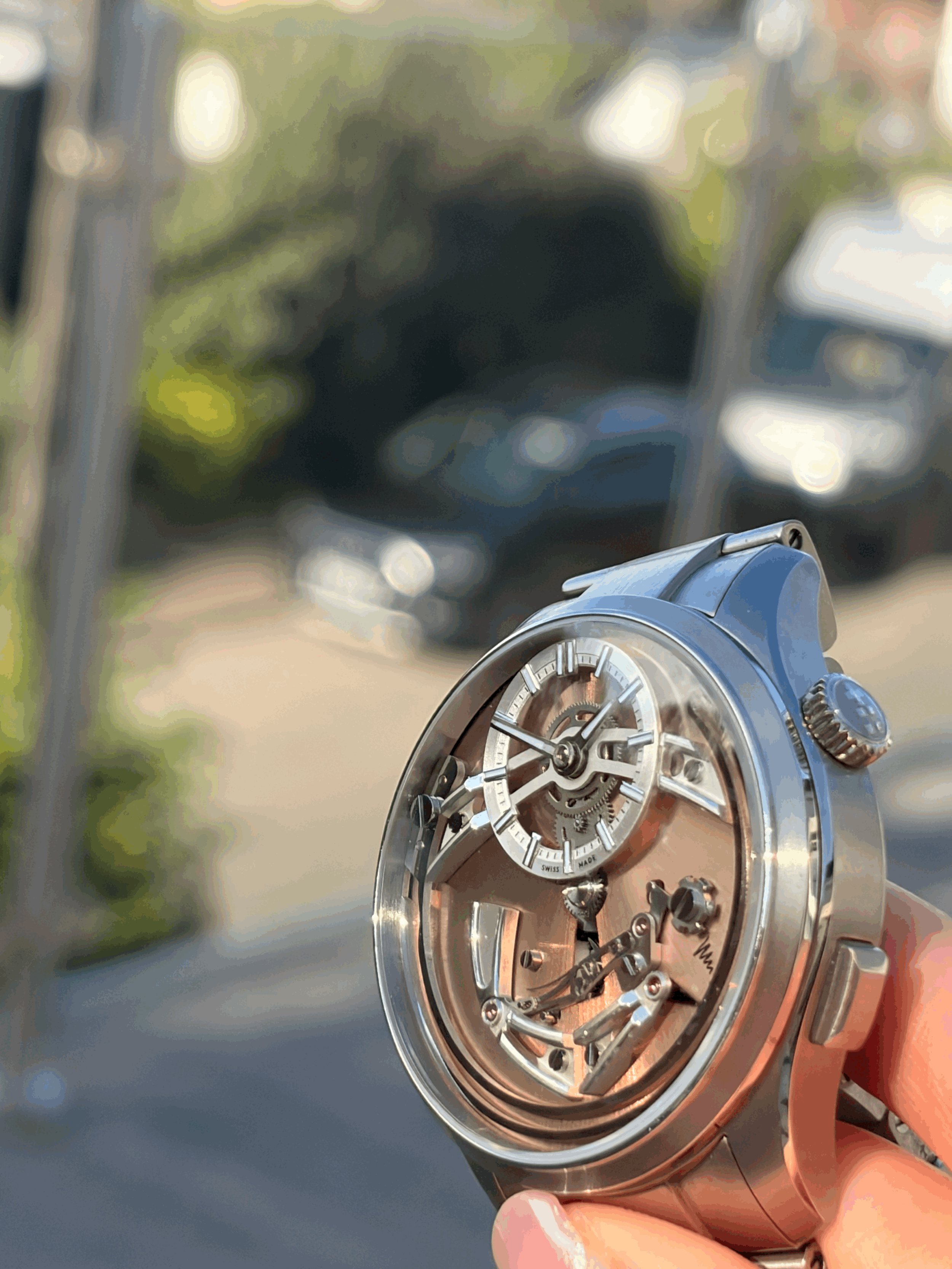 IMG_0817 3Fhr1Ax.gif