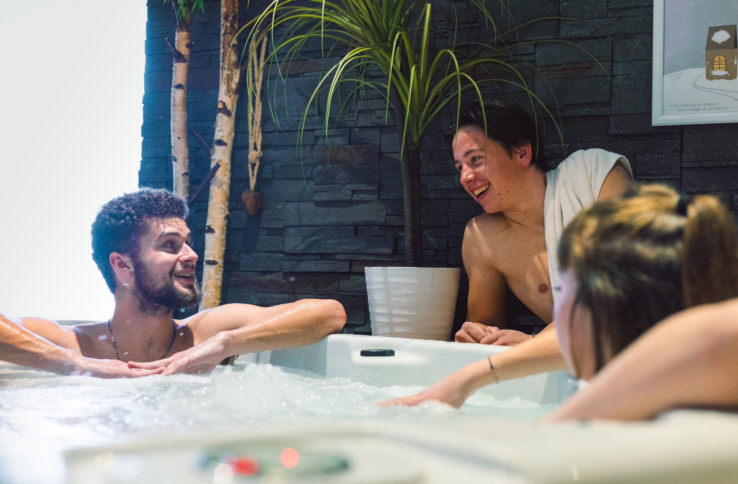 Cristal des Alpes SPA