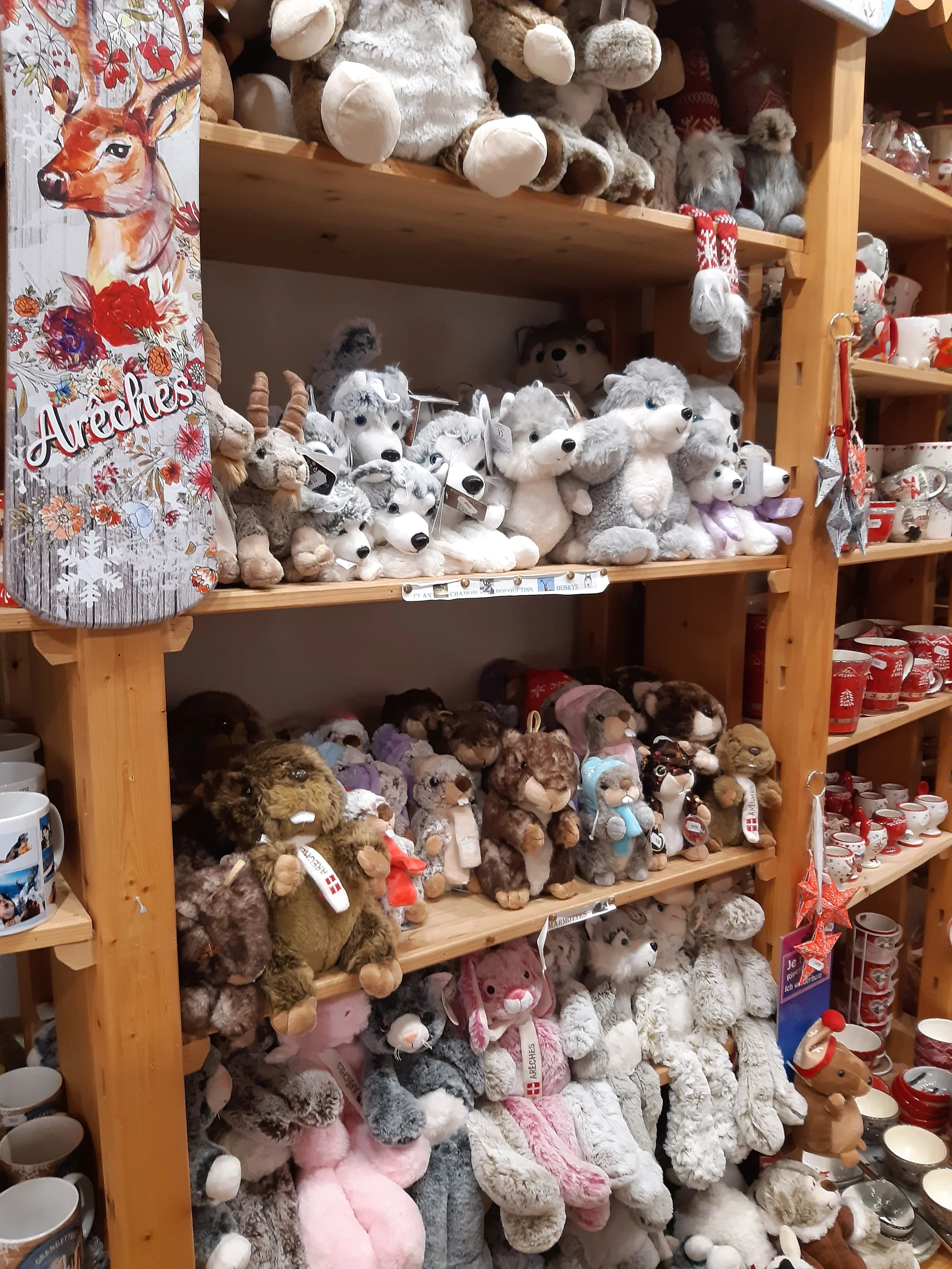 20200428_073038+PELUCHES.jpg