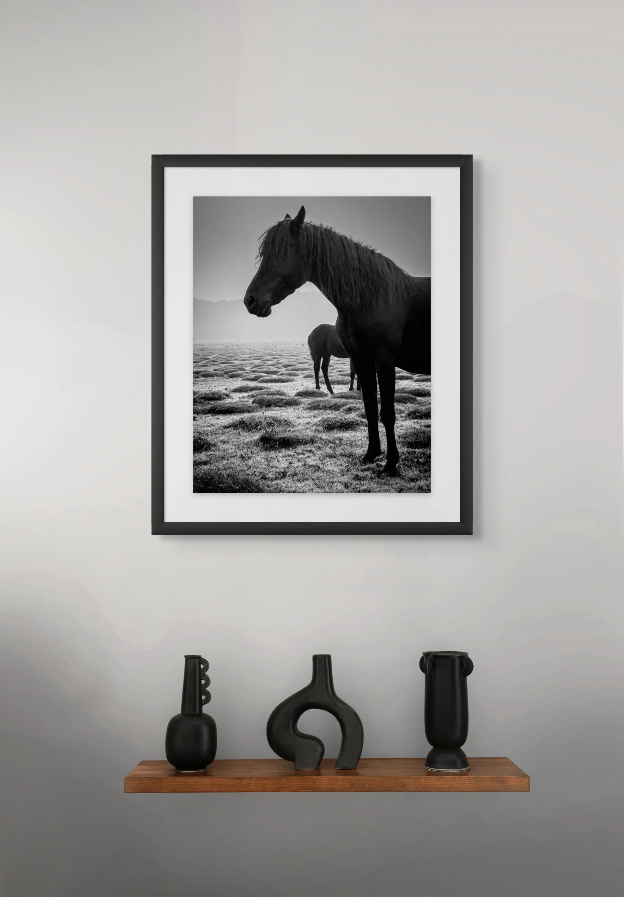 head and tail-full.jpg