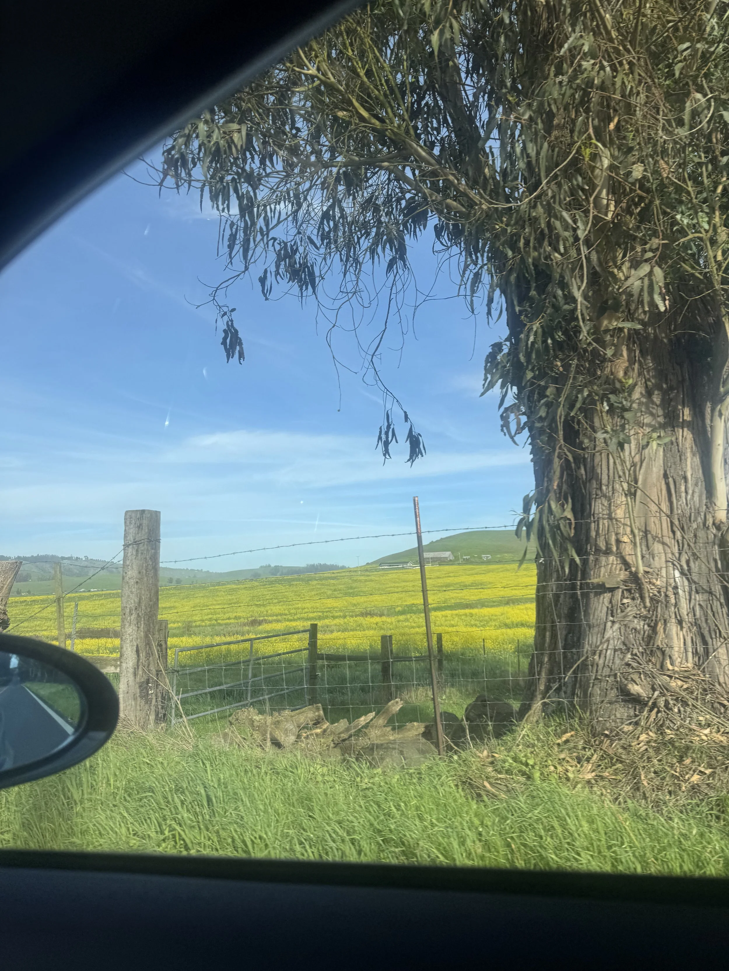 IMG_5711.jpeg