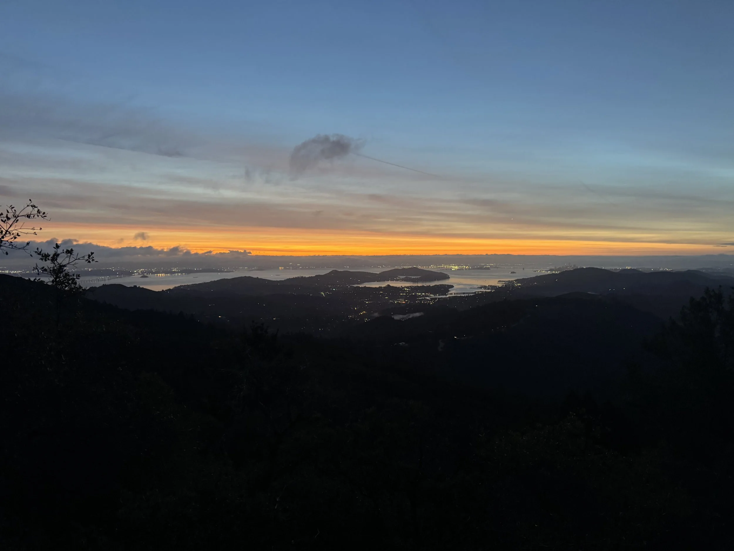 IMG_4124.jpeg