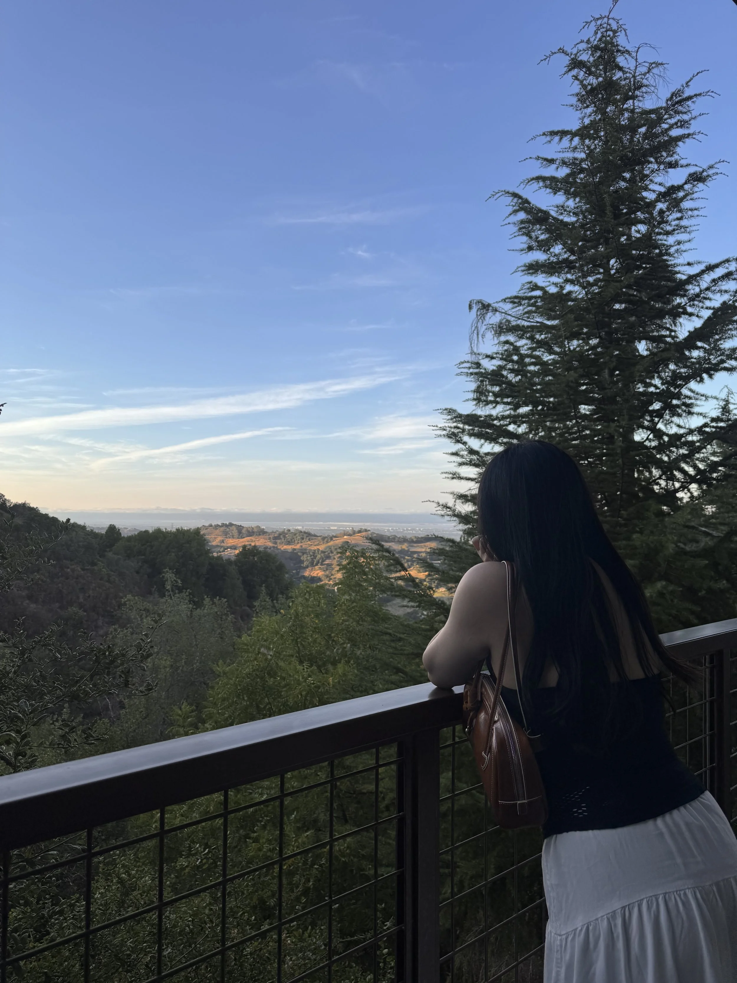 IMG_8420.jpeg