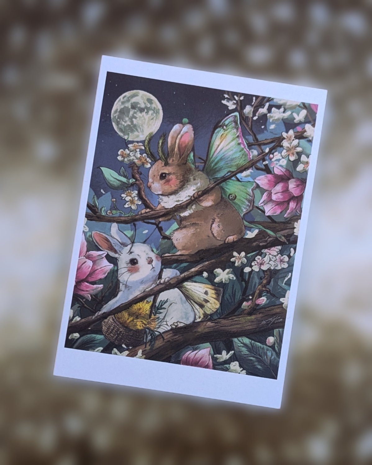 Fairy Bunnies Card (5 pack)