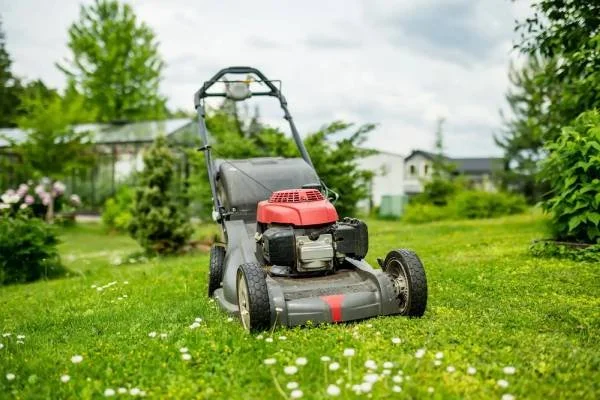 Garden Maintenance Services